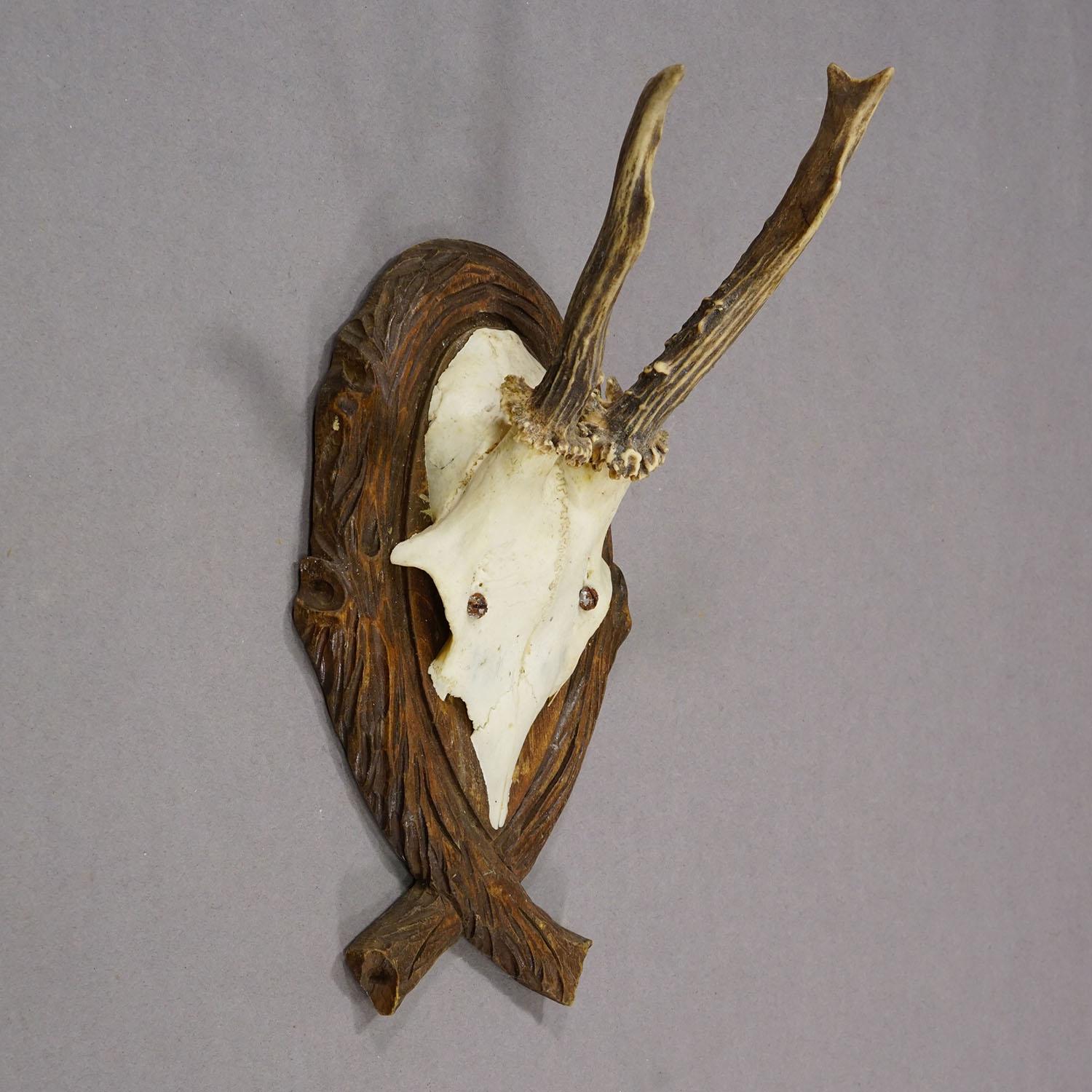Allemand Trophée de cerf ancien sur plaque sculptée, Allemagne 1942 en vente