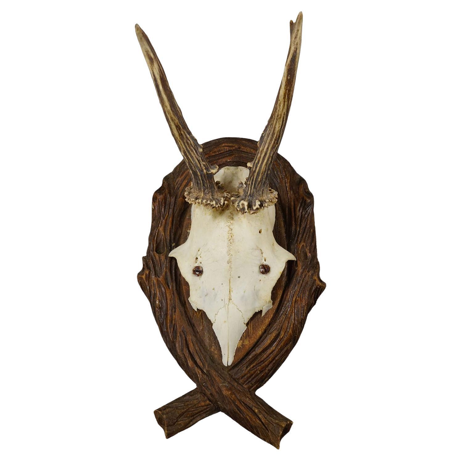 Trophée de cerf ancien sur plaque sculptée, Allemagne 1942