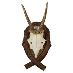 Trophée de cerf ancien sur plaque sculptée, Allemagne 1942