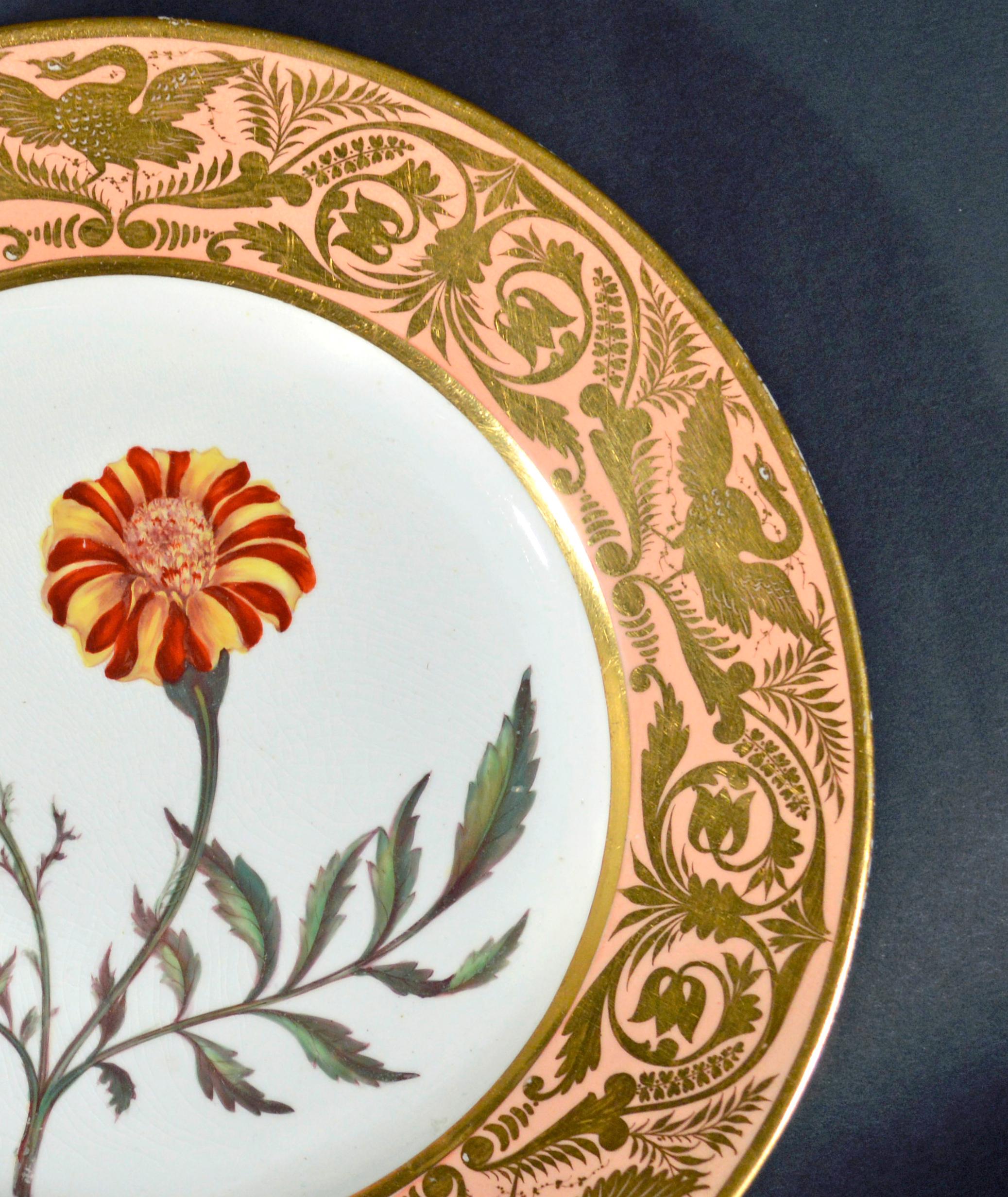Georgien Ancienne assiette en porcelaine de Derby à motifs botaniques et fond saumon, or français en vente