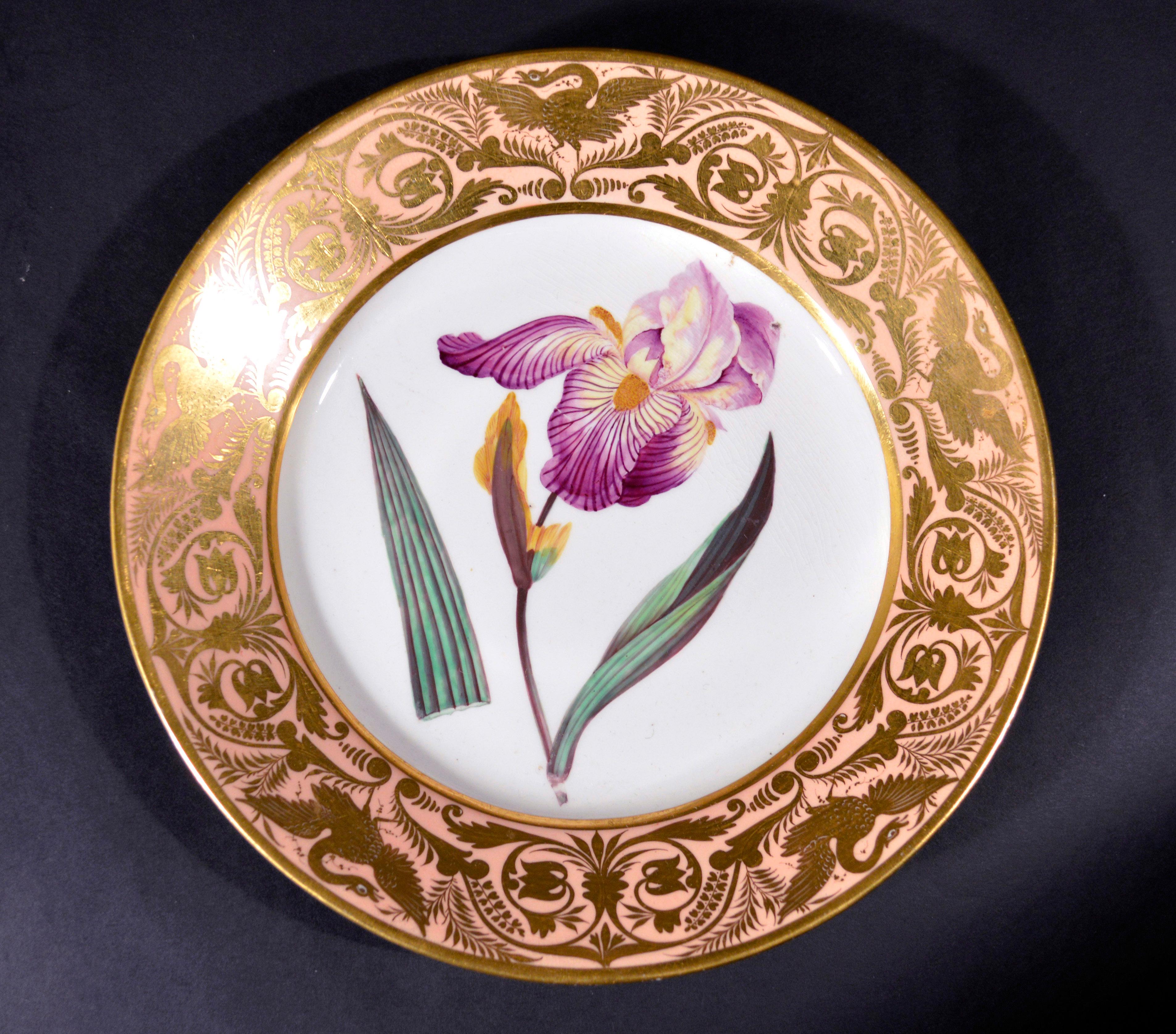 Antique Derby porcelain salmon plate, Elder scented iris,
After William Curtis's botanical magazine, volume 6, April 1, 1792, plate 187.
By John Brewer, circa 1815.

The Derby porcelain plate is boldly painted with an Elder Scented Iris