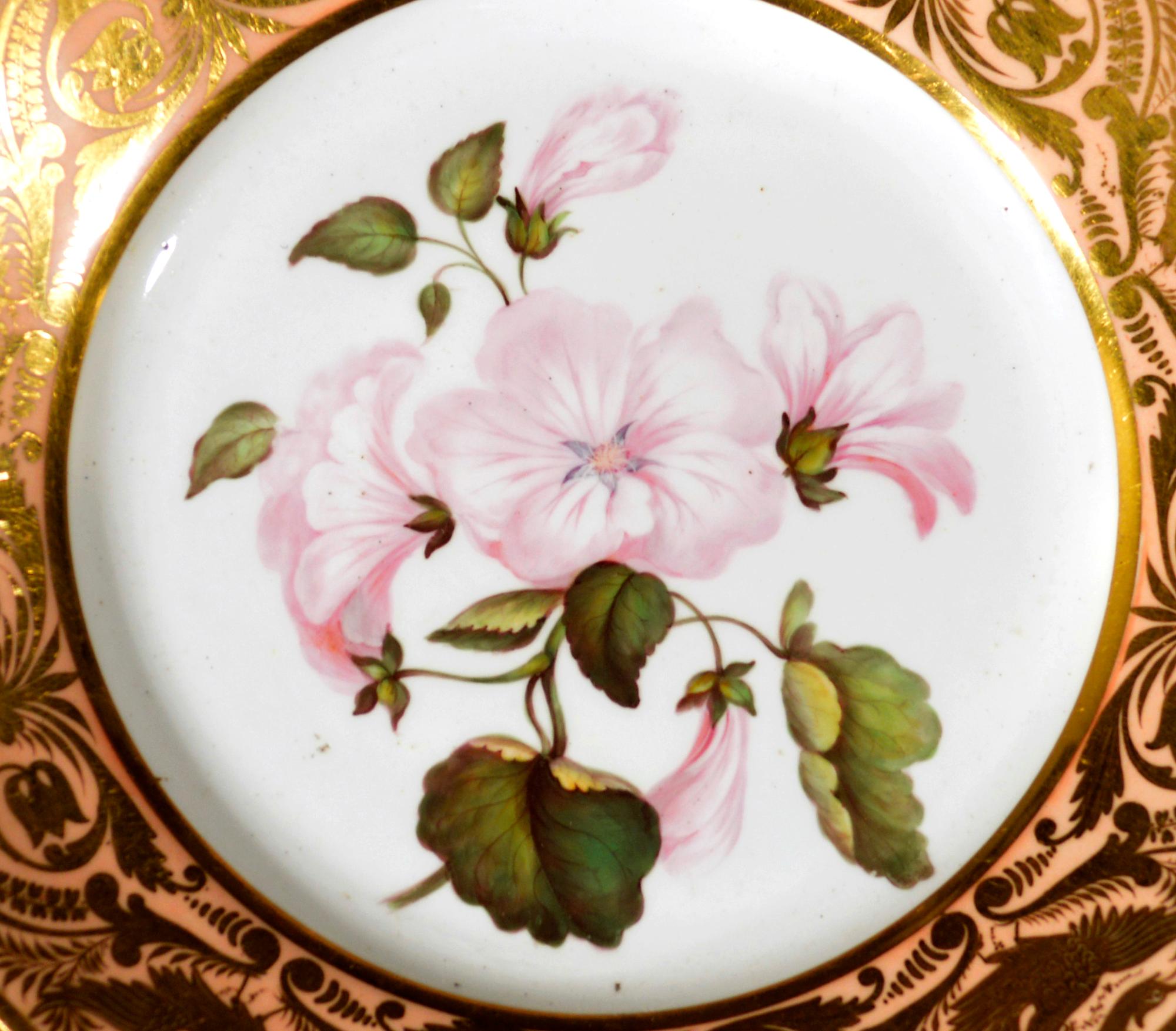 Georgian Antique Derby Porcelain Salmon Ground Plate, An Annual Lavetera, by John Brewer For Sale