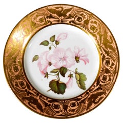 Antique Derby Porcelain Salmon Ground Plate, An Annual Lavetera, by John Brewer
