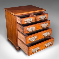 Antique Desktop Specimen Case, English, Miniature Chest of Drawers, Victorian