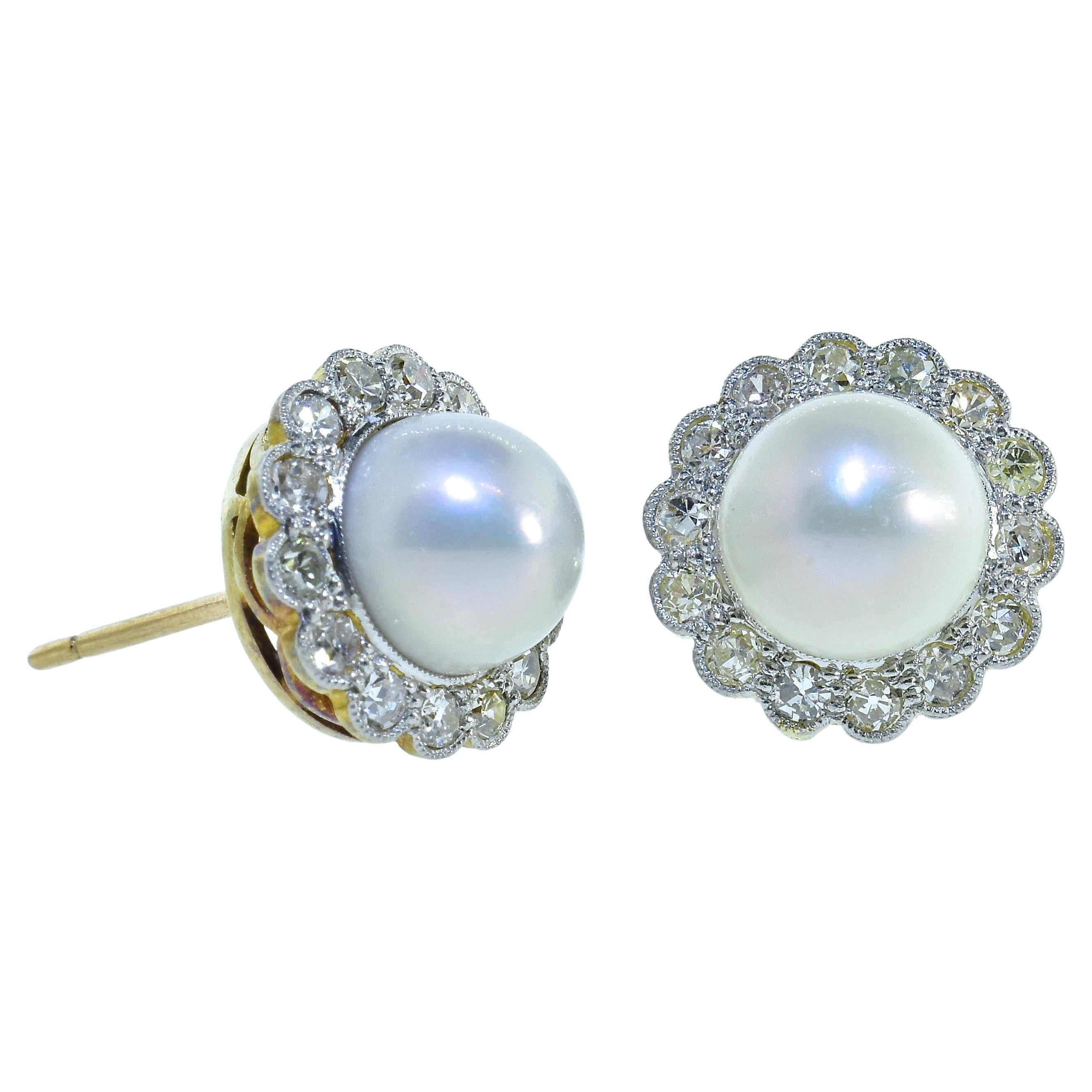 Natural Pearl and Diamond Oyster Shell Design Earrings For Sale at 1stDibs