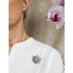 Antique Diamond and Silver Upon Gold Star Brooch and Hair Pin, Circa 1905