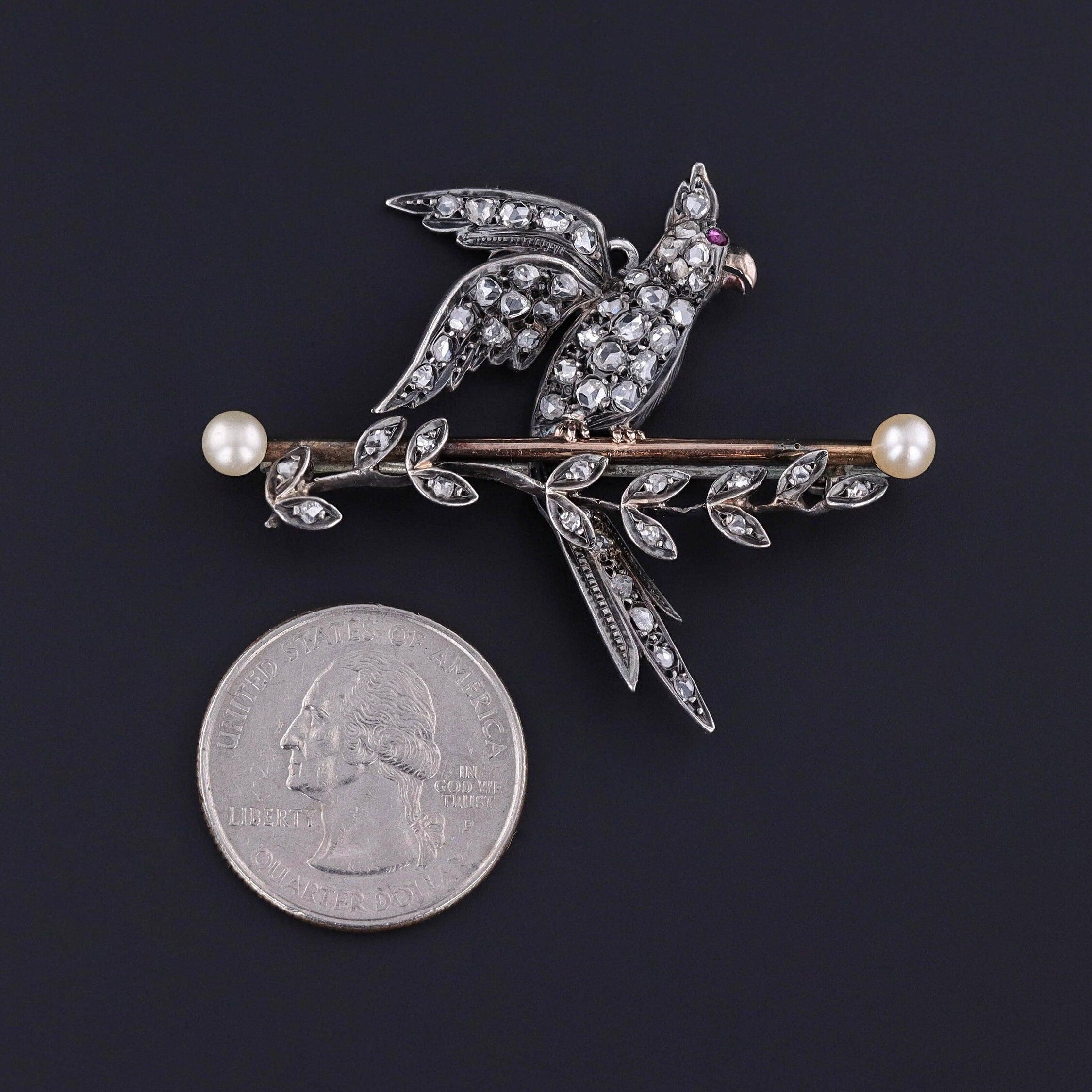 Cette broche ancienne, d'époque victorienne (vers 1880), présente un perroquet en argent et diamants serti sur une barre en or rose 9ct avec deux perles.

La pièce est dotée d'un anneau qui permet de la porter également en pendentif. Il mesure 1,7