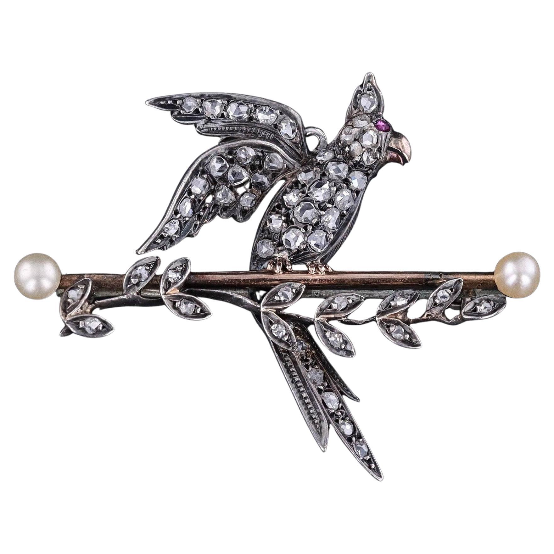 Broche antiguo de pájaro con diamantes de plata y oro de 9 ct