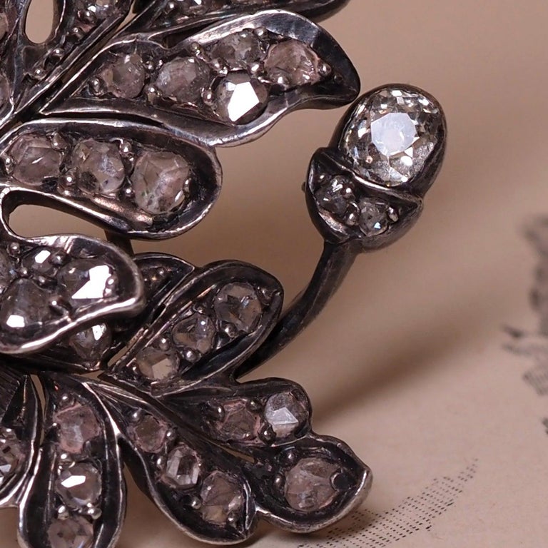 Broche Ancienne En Alliage Gris Décor Feuillage - 14 Grammes - Réf 60 W1010 - Occasion