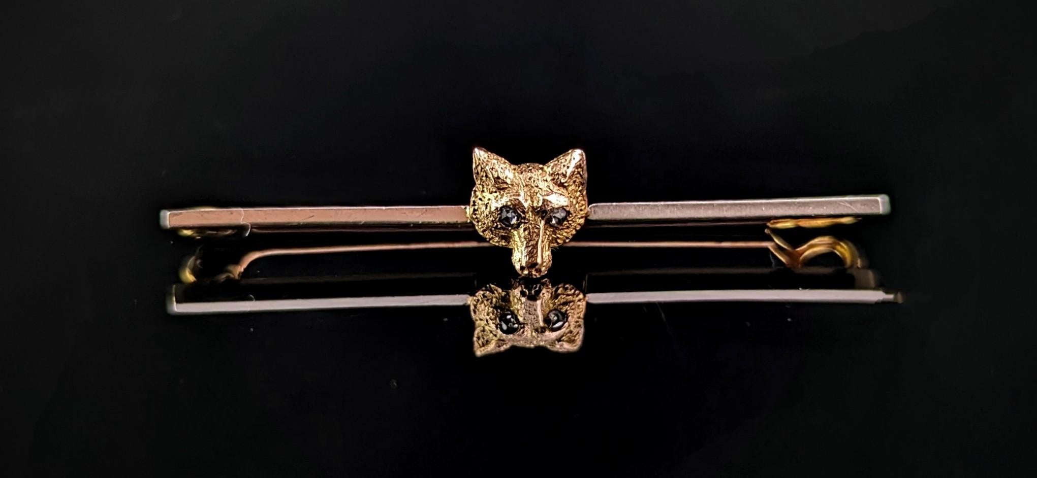 You can't help but be charmed by this very well designed antique Edwardian era fox mask brooch or pin.

The face of the little fox is nicely detailed and textured and he has little diamond set eyes providing a nice sparkle on movement.

The fox head