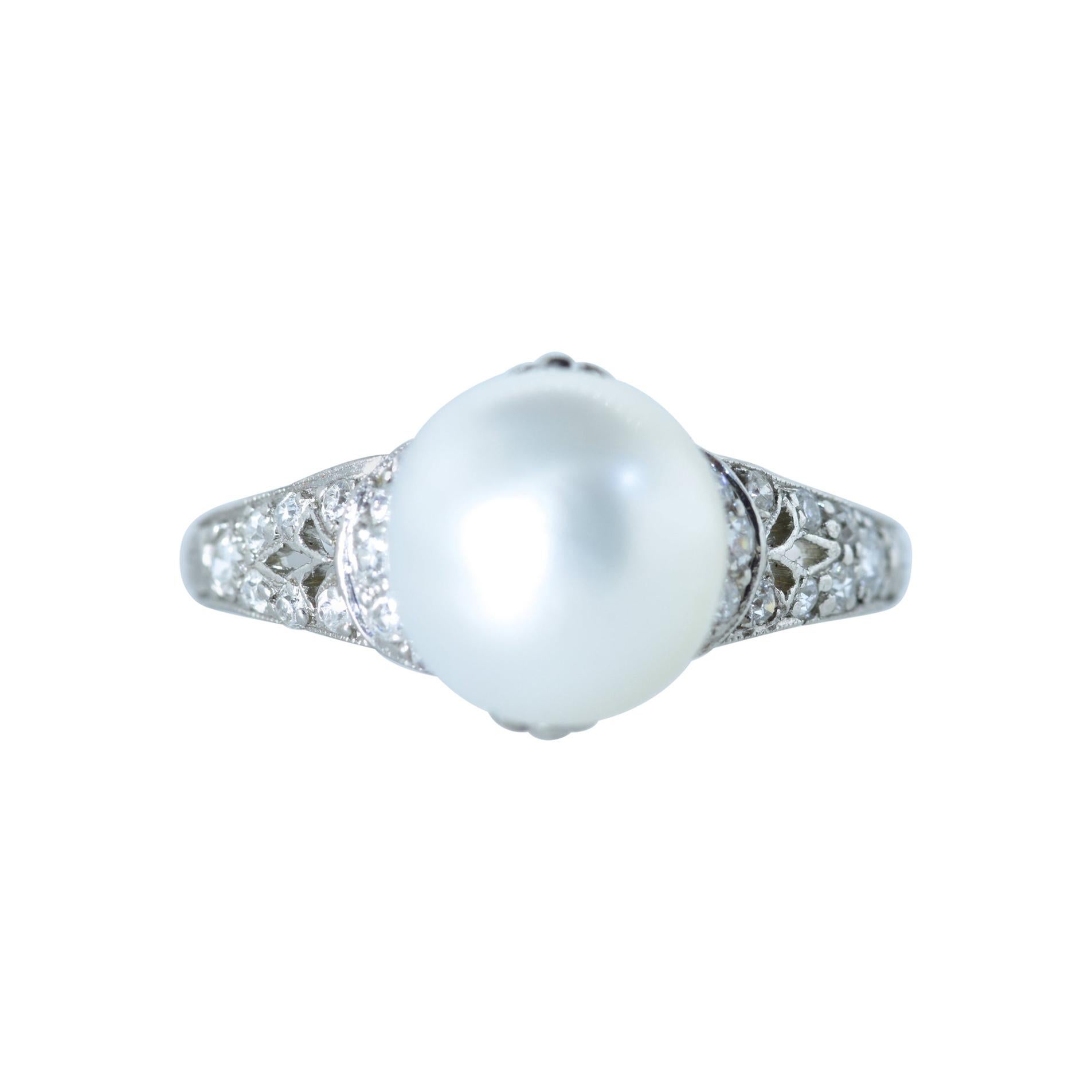 Natural Pearl, platinum and diamond ring centering a very fine natural salt water pearl.  This large natural pearl has been examined by the Gemological Institute of American and has been identified as a natural salt water pearl species, Pinctada