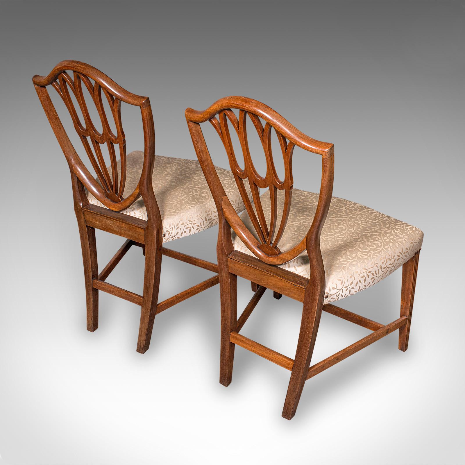 Textile Suite de chaises de salle à manger anciennes anglaises, Carver & Slipper Chairs, géorgiennes, C.1800 en vente