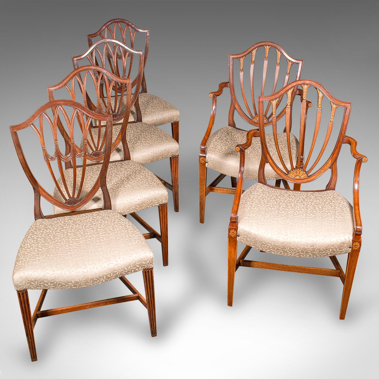 Suite de chaises de salle à manger anciennes anglaises, Carver & Slipper Chairs, géorgiennes, C.1800 en vente 1