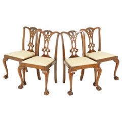 Chaises à manger antiques:: 4 chaises Chippendale:: Noyer:: Ecosse 1940:: B1728