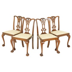 antiques dining chairs Antique Dining Chairs, 4 Chippendale Chairs, Walnut, Scotland 1940, B1728