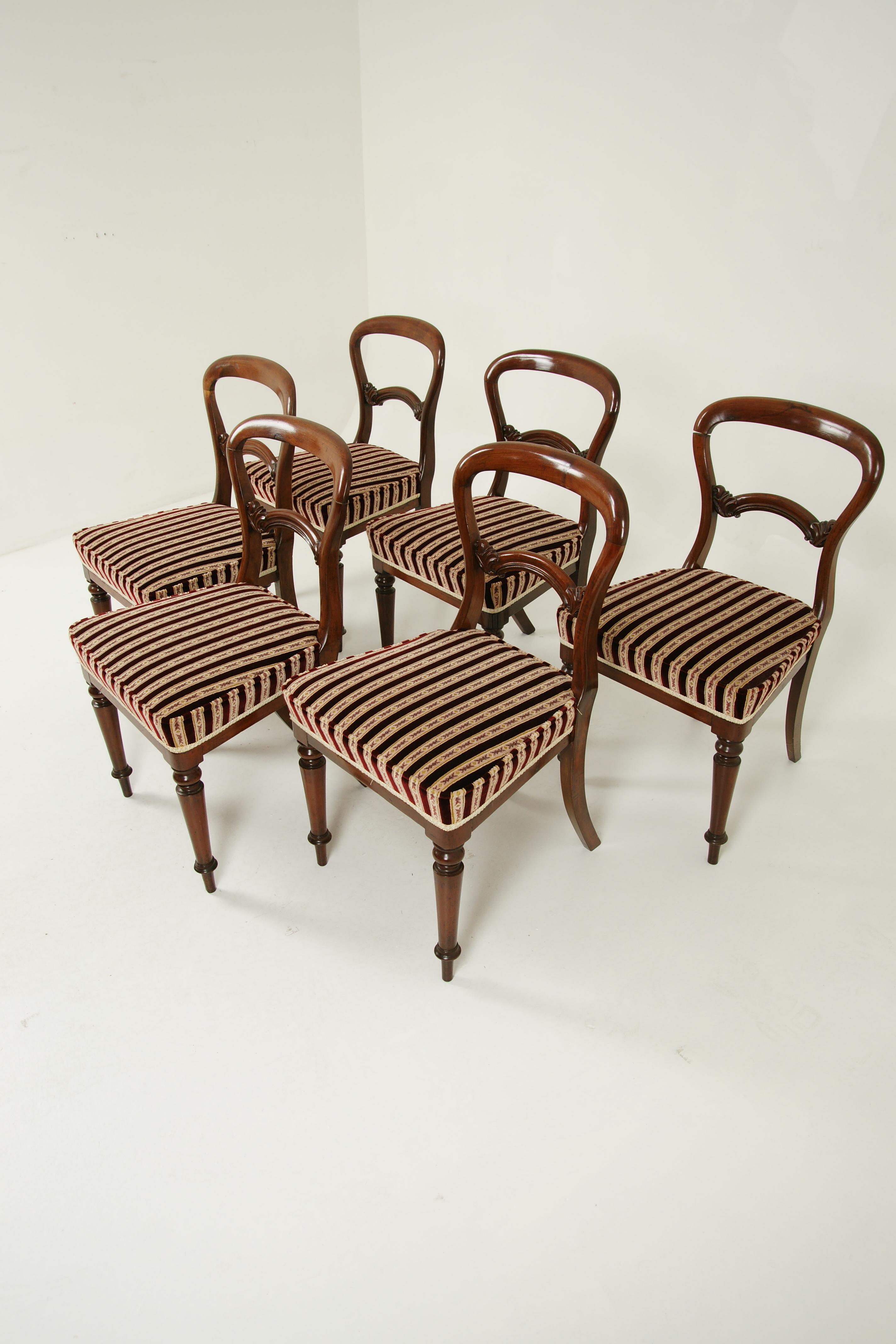 Hand-Crafted Antique Dining Chairs, 6 Balloon Back Chairs, Walnut, Victorian, 1880, B1573