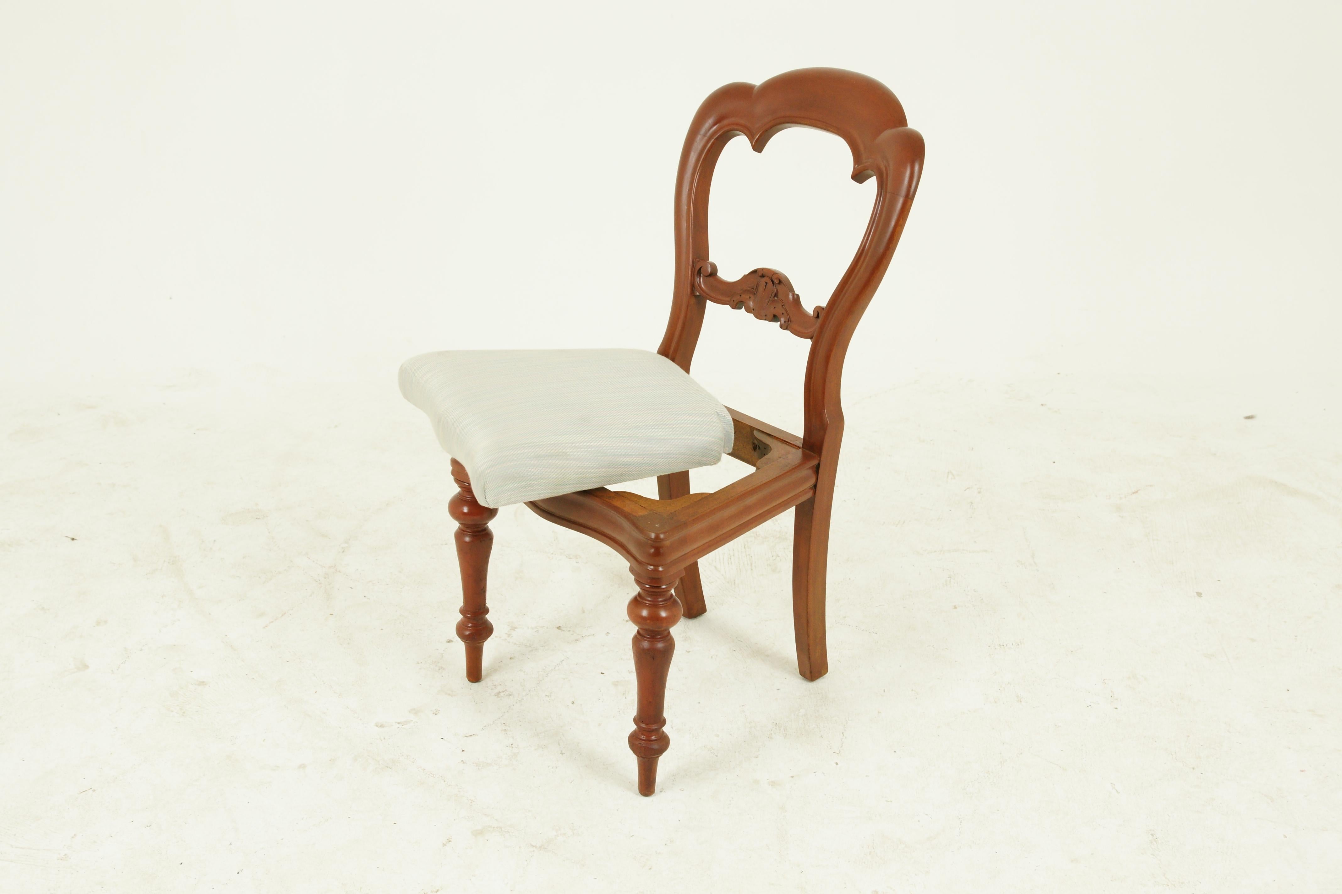 Scottish Antique Dining Chairs, Balloon Back Chairs, Walnut, Victorian, 1880, B1541