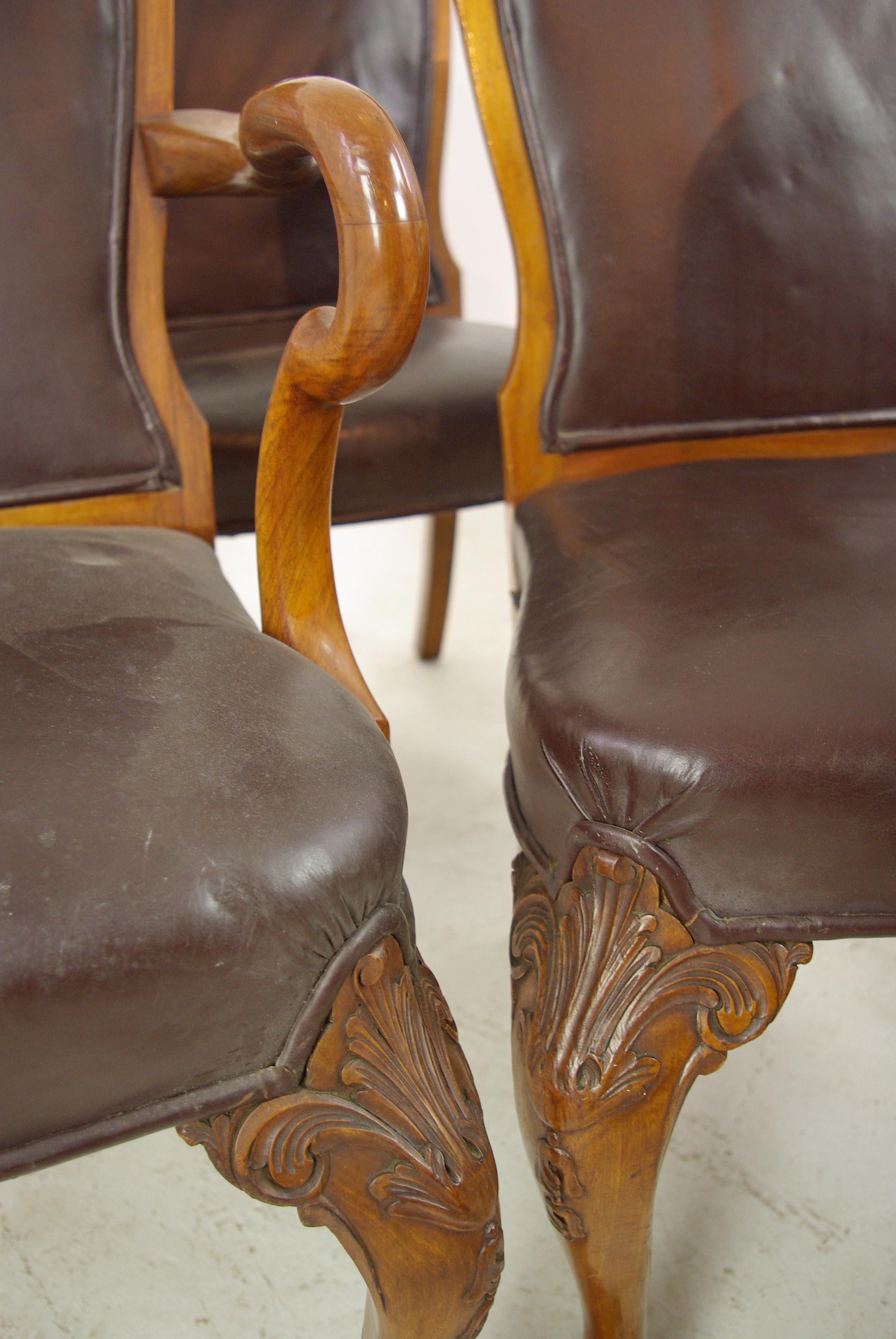 Antique Dining Chairs, Walnut, Leather Seats, Scotland 1930, B1348 3