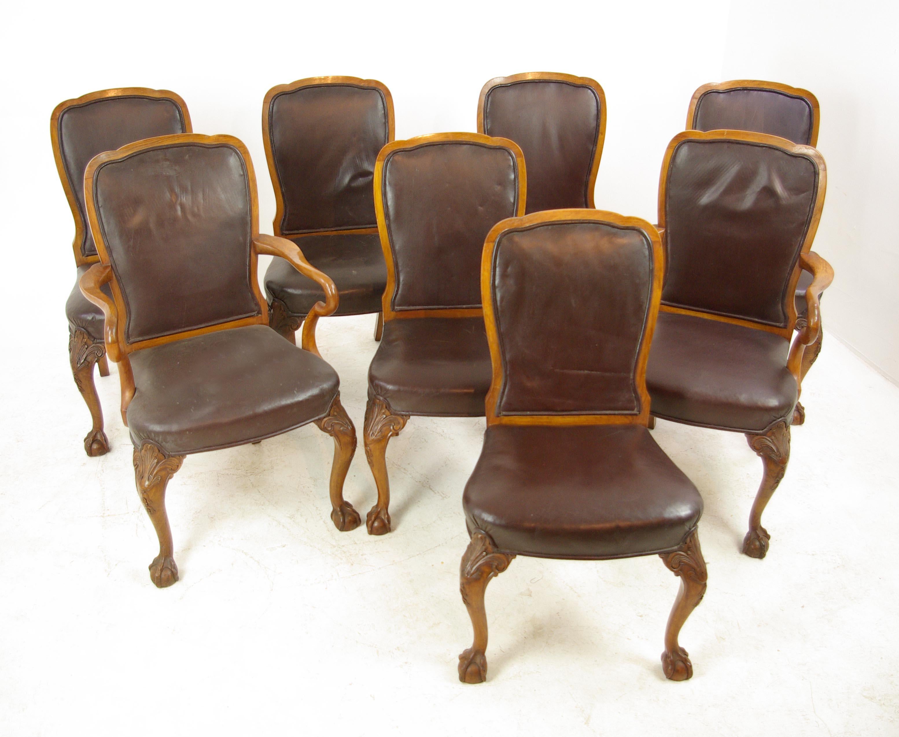 Antique Dining Chairs, Walnut, Leather Seats, Scotland 1930, B1348 5