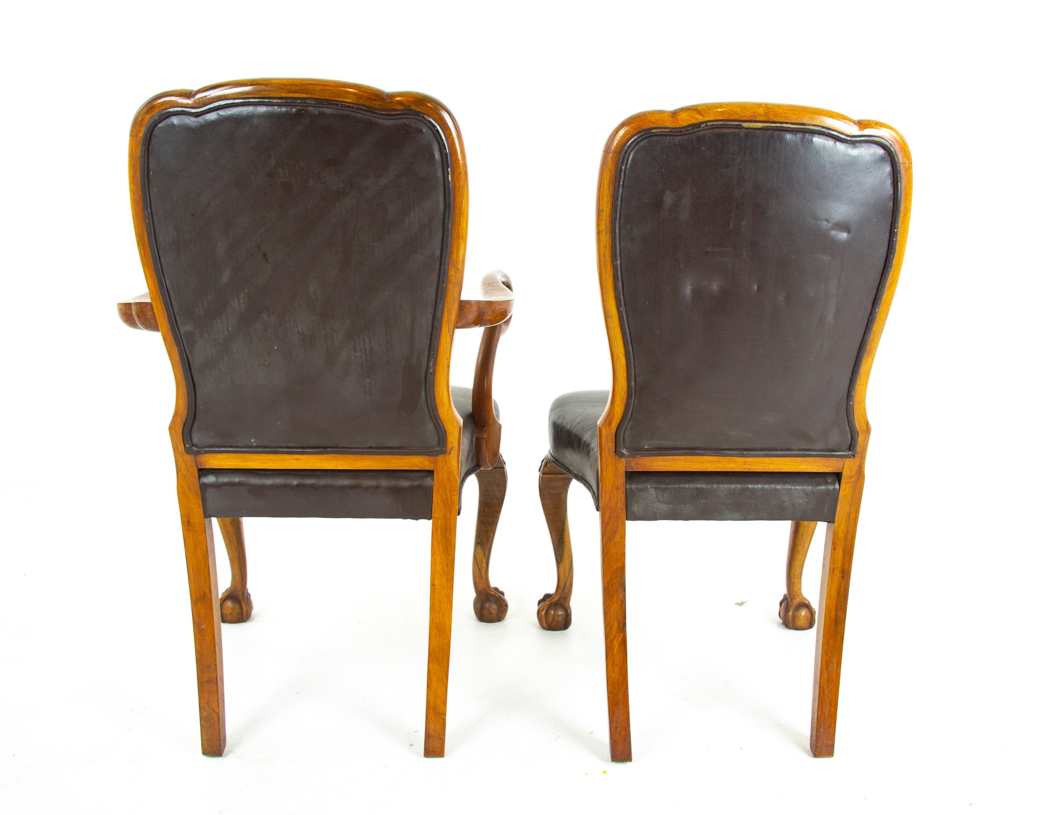 Antique Dining Chairs, Walnut, Leather Seats, Scotland 1930, B1348 1