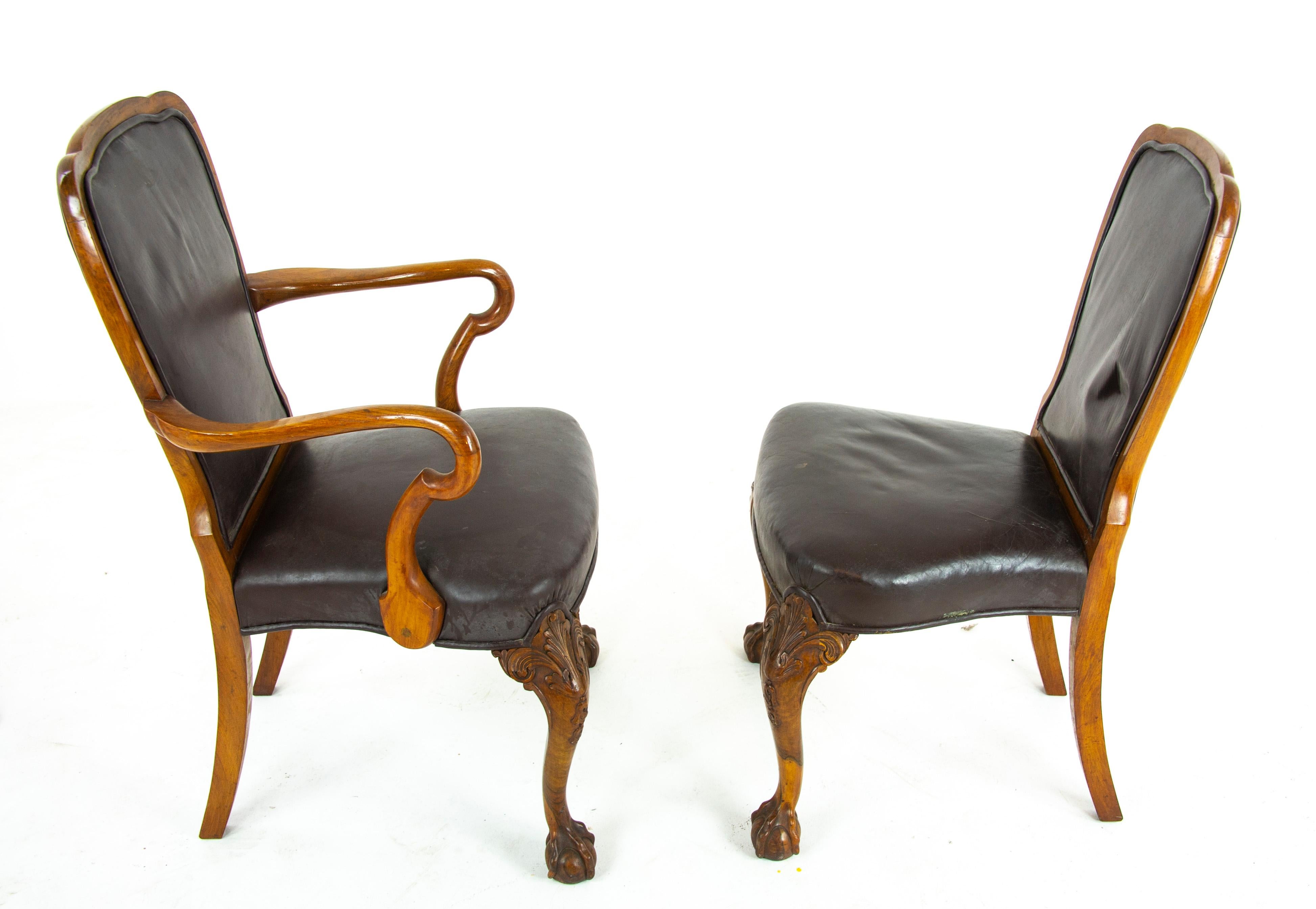 Antique Dining Chairs, Walnut, Leather Seats, Scotland 1930, B1348 2