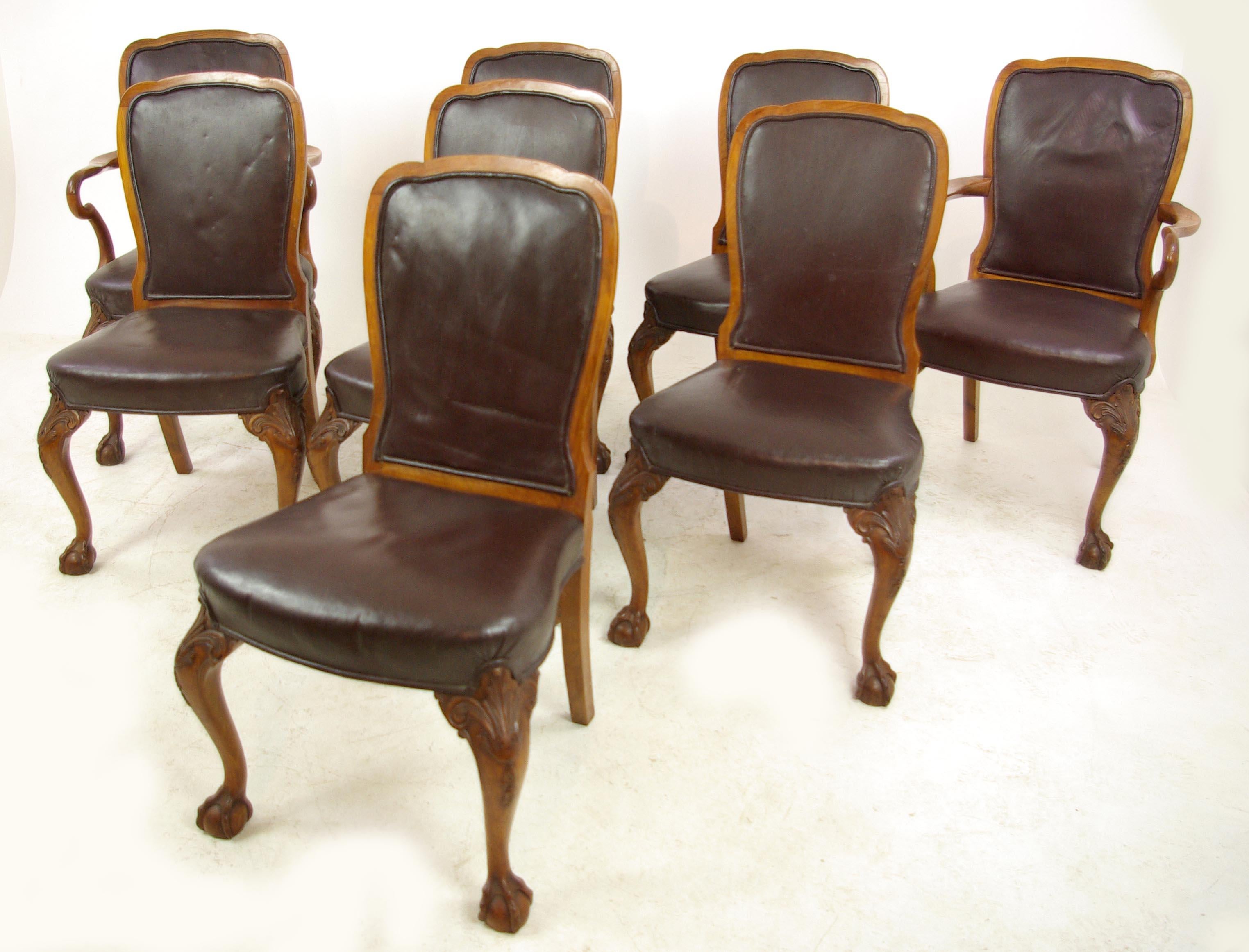 Scottish Antique Dining Chairs, Walnut, Leather Seats, Scotland 1930, B1348