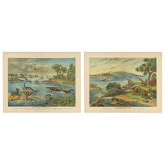 Pièces de collection et curiosités