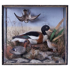 Antikes Diorama mit Vögeln und Enten, Frankreich, 19. Jahrhundert