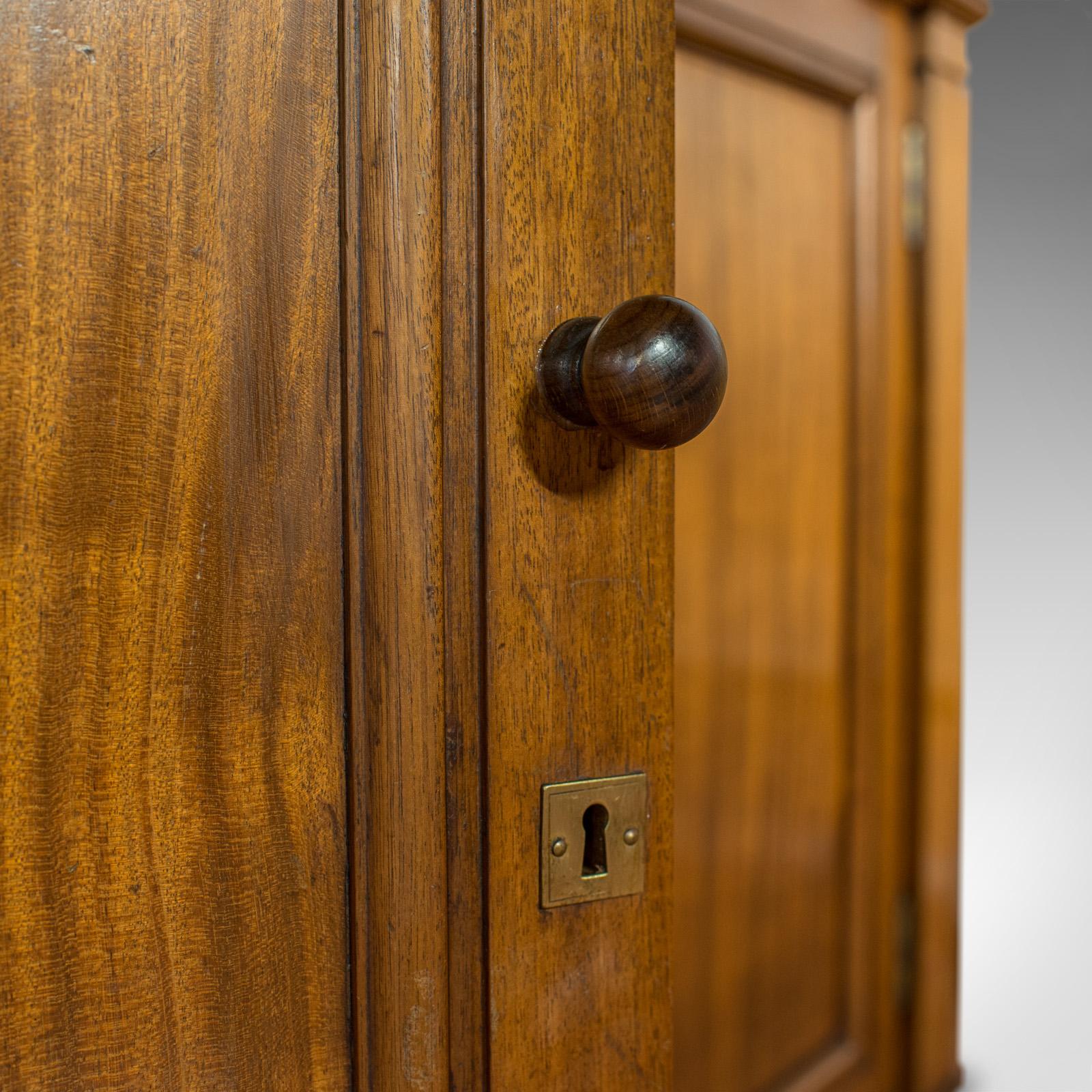 Antique Display Cabinet, English, Walnut, Bronze, Showcase, Museum, circa 1900 5