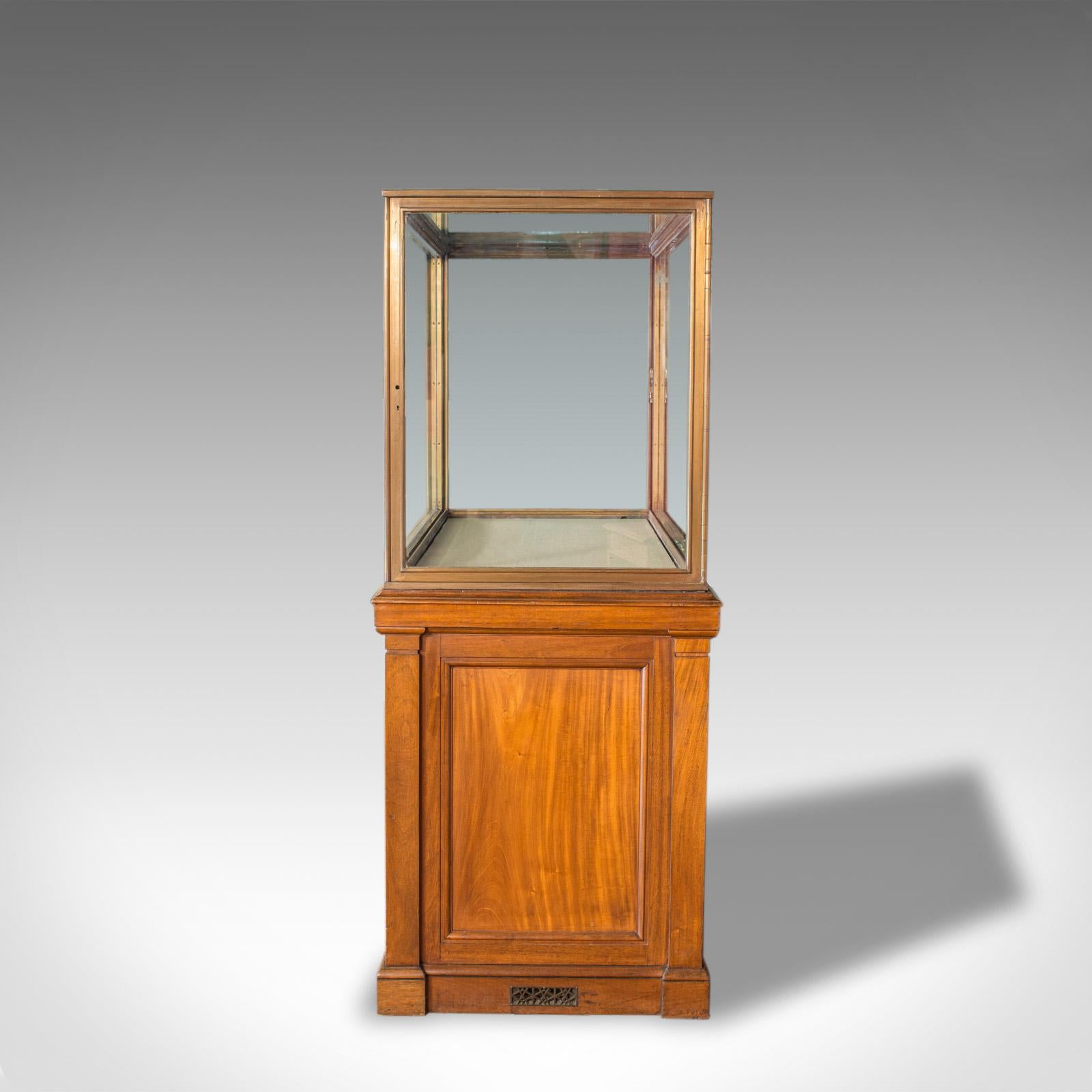 Victorian Antique Display Cabinet, English, Walnut, Bronze, Showcase, Museum, circa 1900