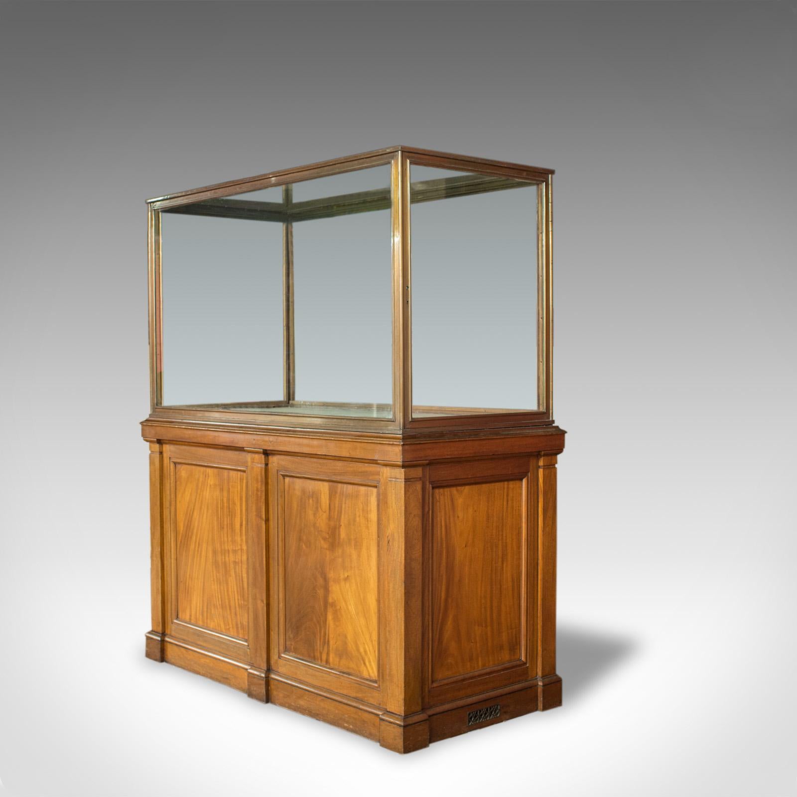 Antique Display Cabinet, English, Walnut, Bronze, Showcase, Museum, circa 1900 In Good Condition In Hele, Devon, GB