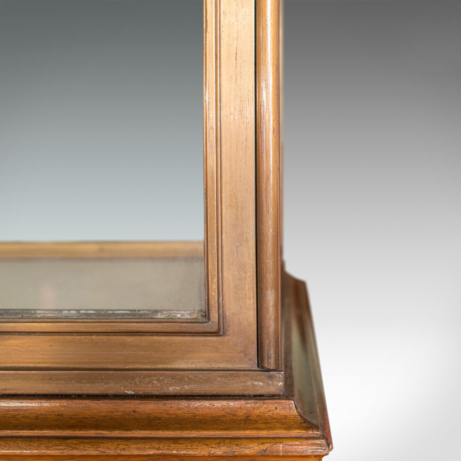 Antique Display Cabinet, English, Walnut, Bronze, Showcase, Museum, circa 1900 1