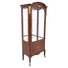 Antique display cabinet from the late 19th century, France.