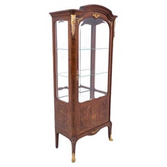 Antique display cabinet from the late 19th century, France.