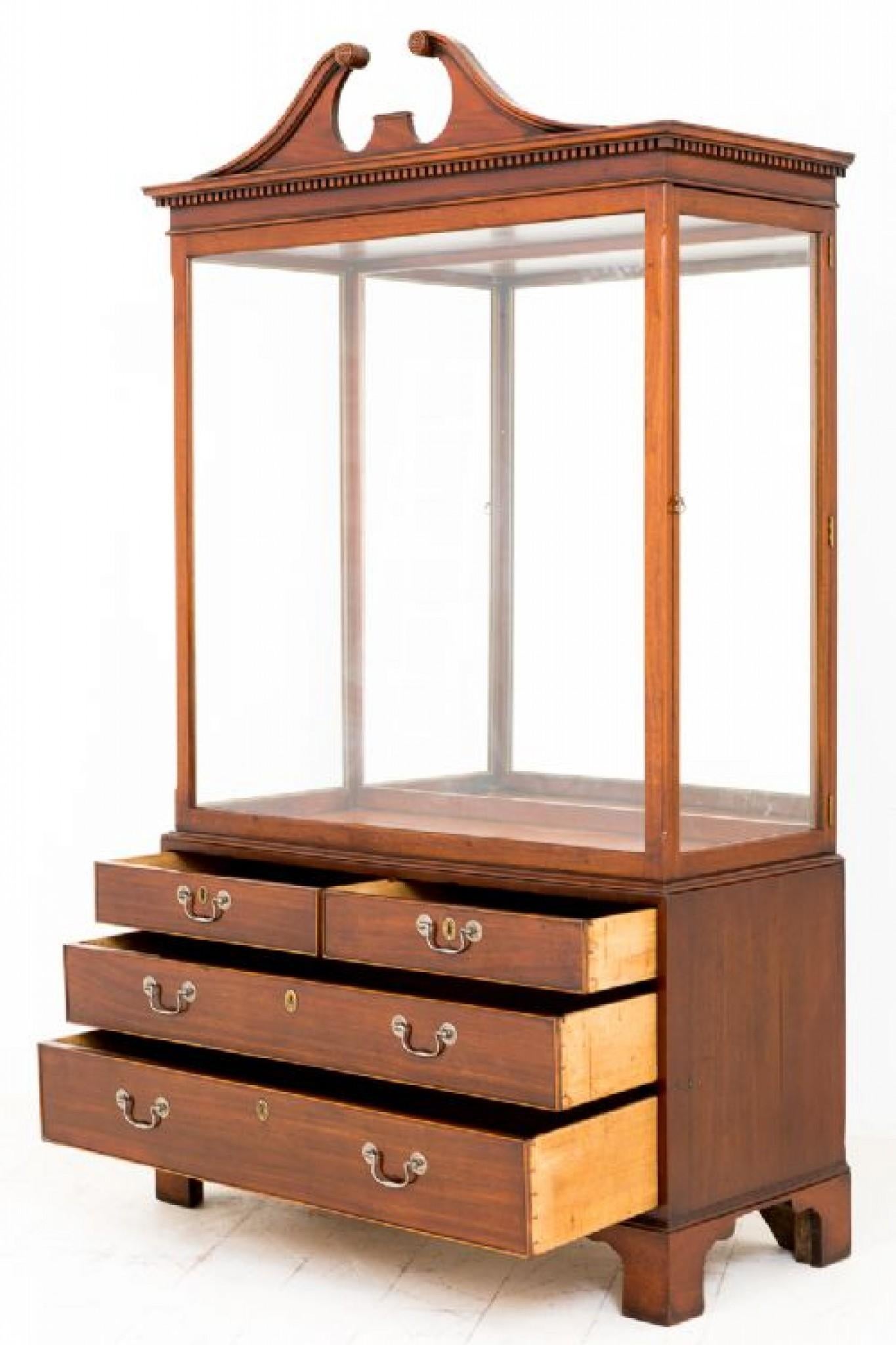 19th Century Antique Display Cabinet - Georgian Mahogany Specimen 1880 For Sale