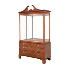 Antique Display Cabinet - Georgian Mahogany Specimen 1880