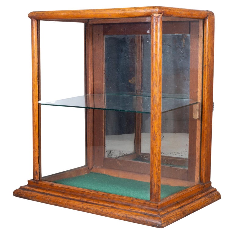 Antique Display Case c.19001920 For Sale at 1stDibs