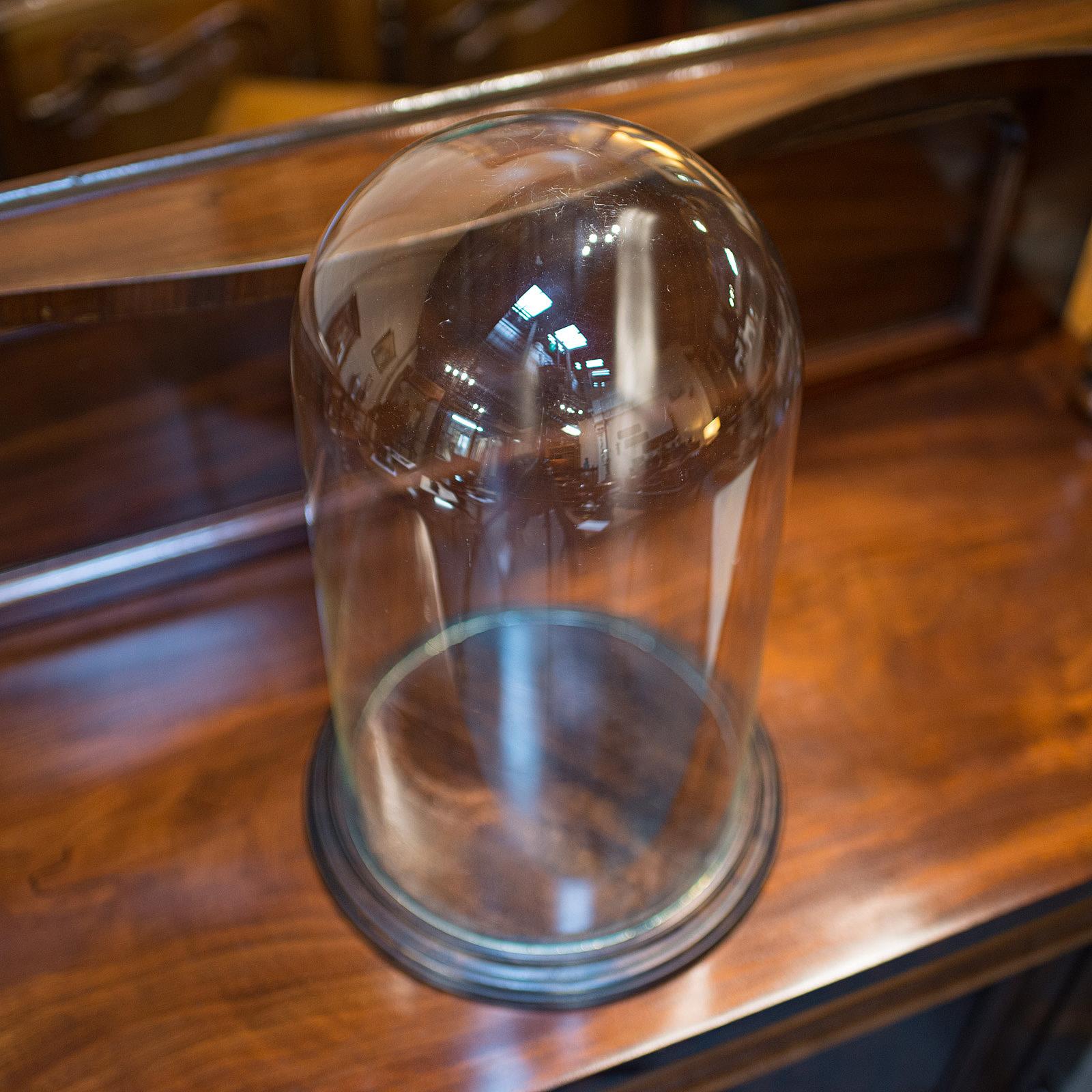 Antique Display Dome, English, Glass, Mahogany, Taxidermy, Showcase, Victorian In Good Condition In Hele, Devon, GB