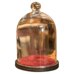 Antique Display Dome, English, Glass, Showcase, Taxidermy Case, Edwardian, 1910