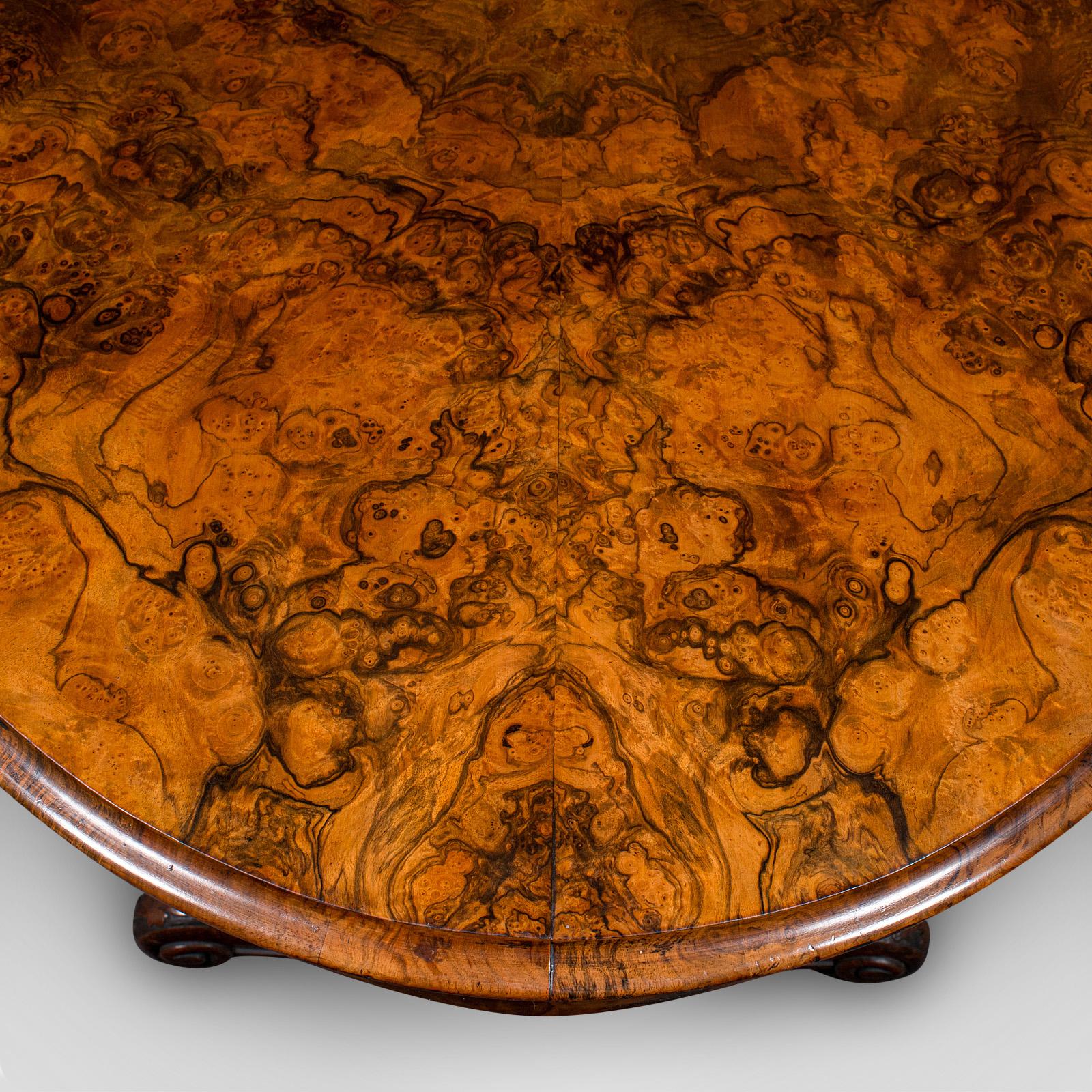 Acajou Table d'exposition ancienne, anglaise, ronce de noyer, 4 places, ovale, centrale, victorienne en vente