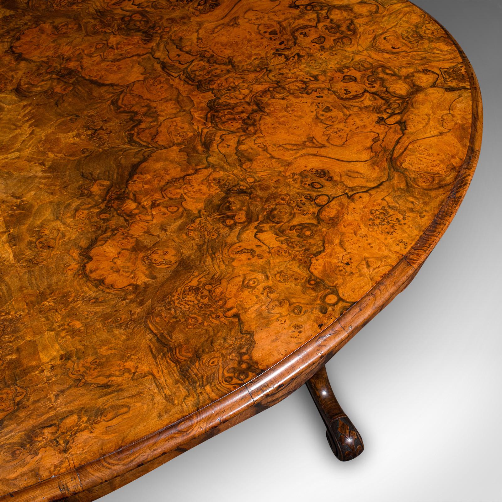 Table d'exposition ancienne, anglaise, ronce de noyer, 4 places, ovale, centrale, victorienne en vente 1