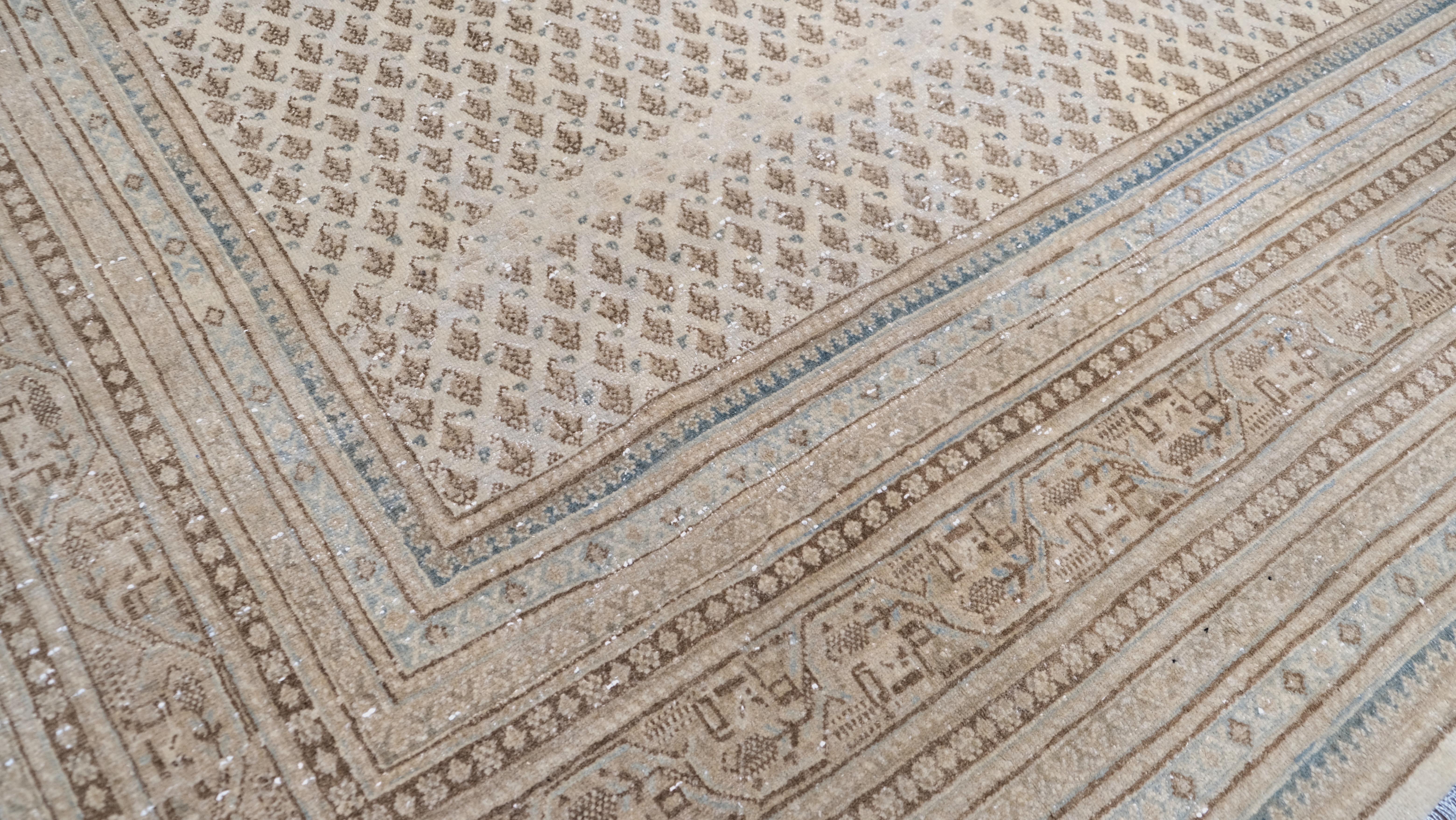 Questo antico tappeto Tabriz in lana annodato a mano presenta un raffinato motivo geometrico che incarna l'eleganza e la maestria della tessitura tradizionale. Il motivo a reticolo ripetuto e finemente dettagliato in morbide tonalità avorio è