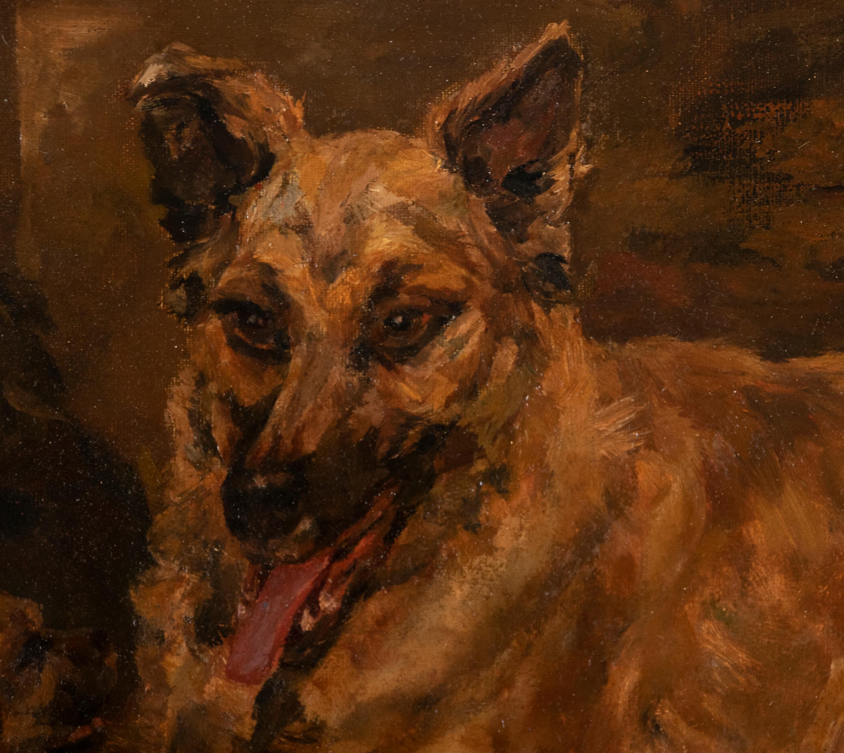Néerlandais Peinture ancienne d'un chien par William Stern, datée de 1921, chien de berger avec chiots en vente
