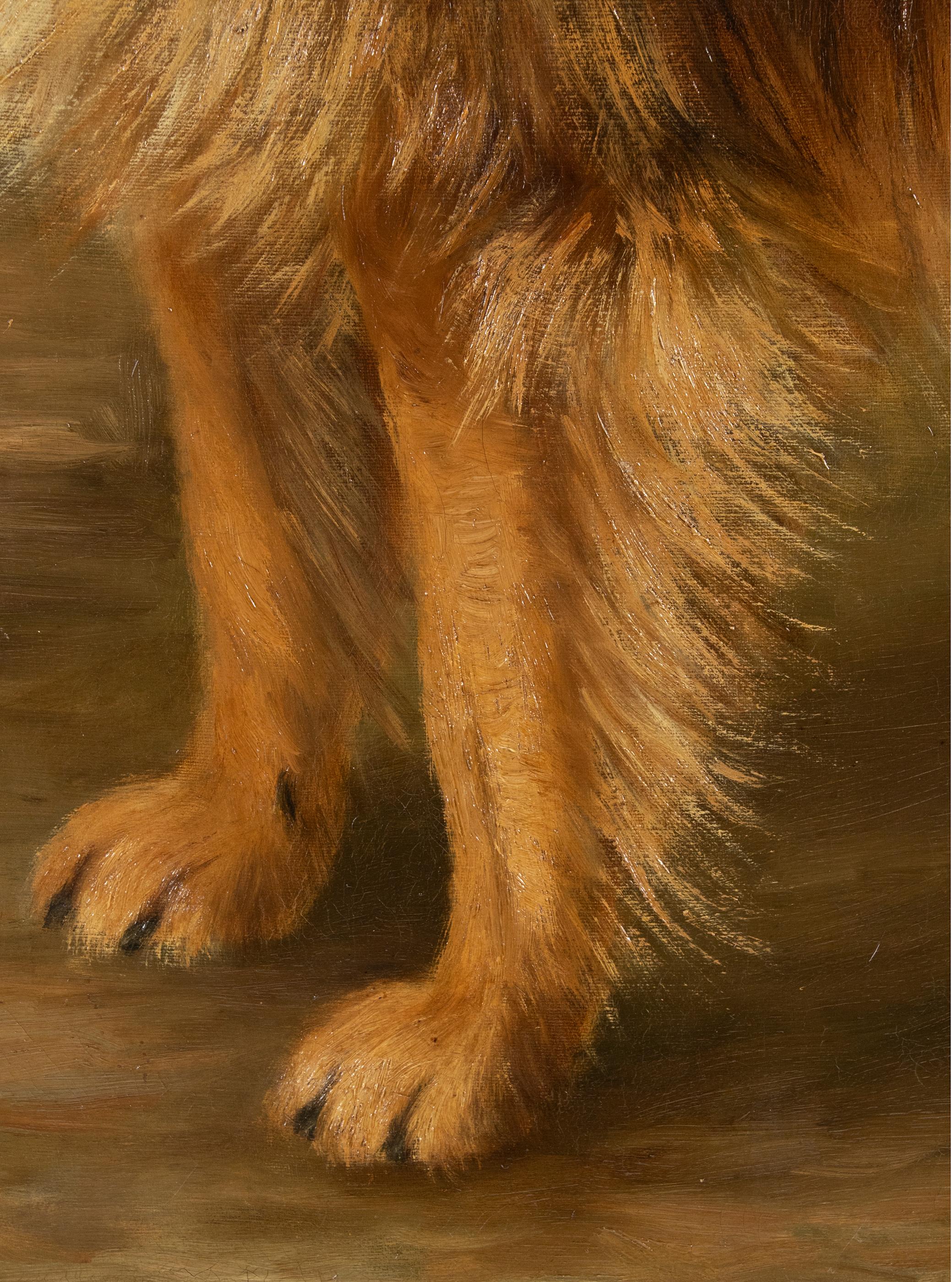 19th Century Antique Dog Painting of a Scottish Collie by Zélia Klerx Oil on Canvas