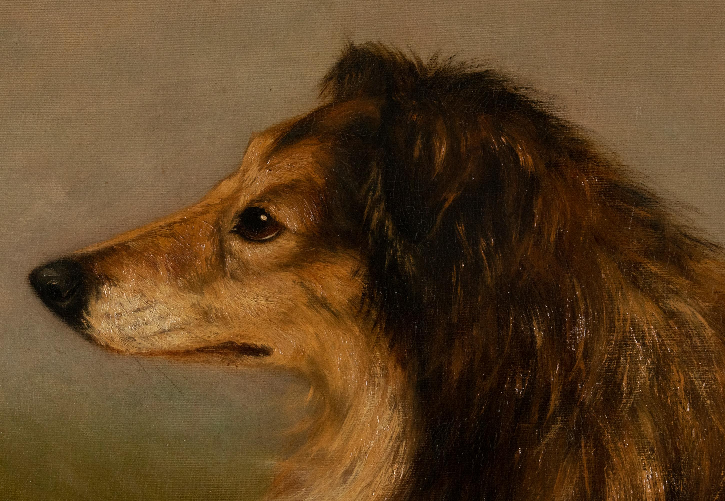 Antique Dog Painting of a Scottish Collie by Zélia Klerx Oil on Canvas 1