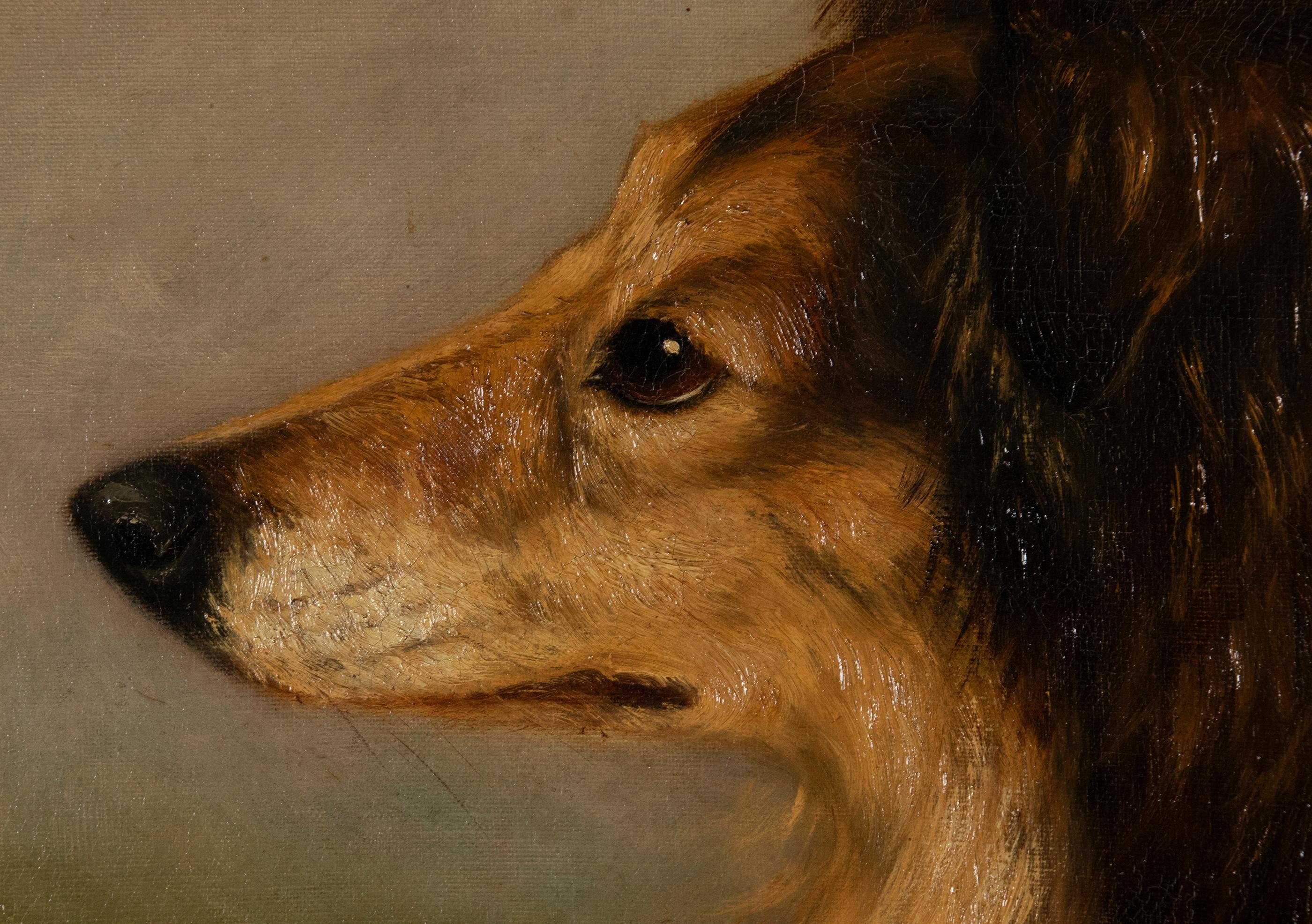 Antique Dog Painting of a Scottish Collie by Zélia Klerx Oil on Canvas 3