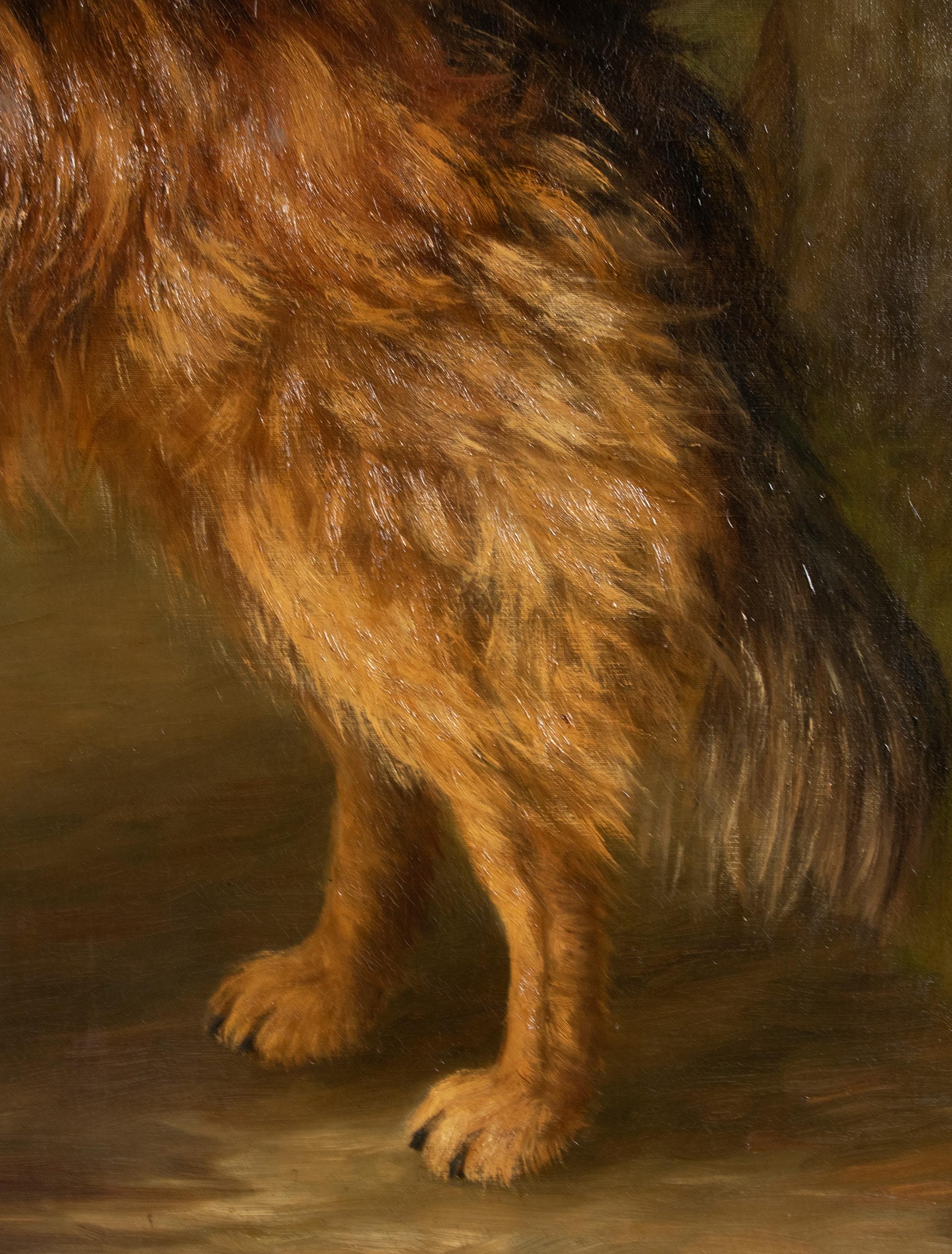 Antique Dog Painting of a Scottish Collie by Zélia Klerx Oil on Canvas 5