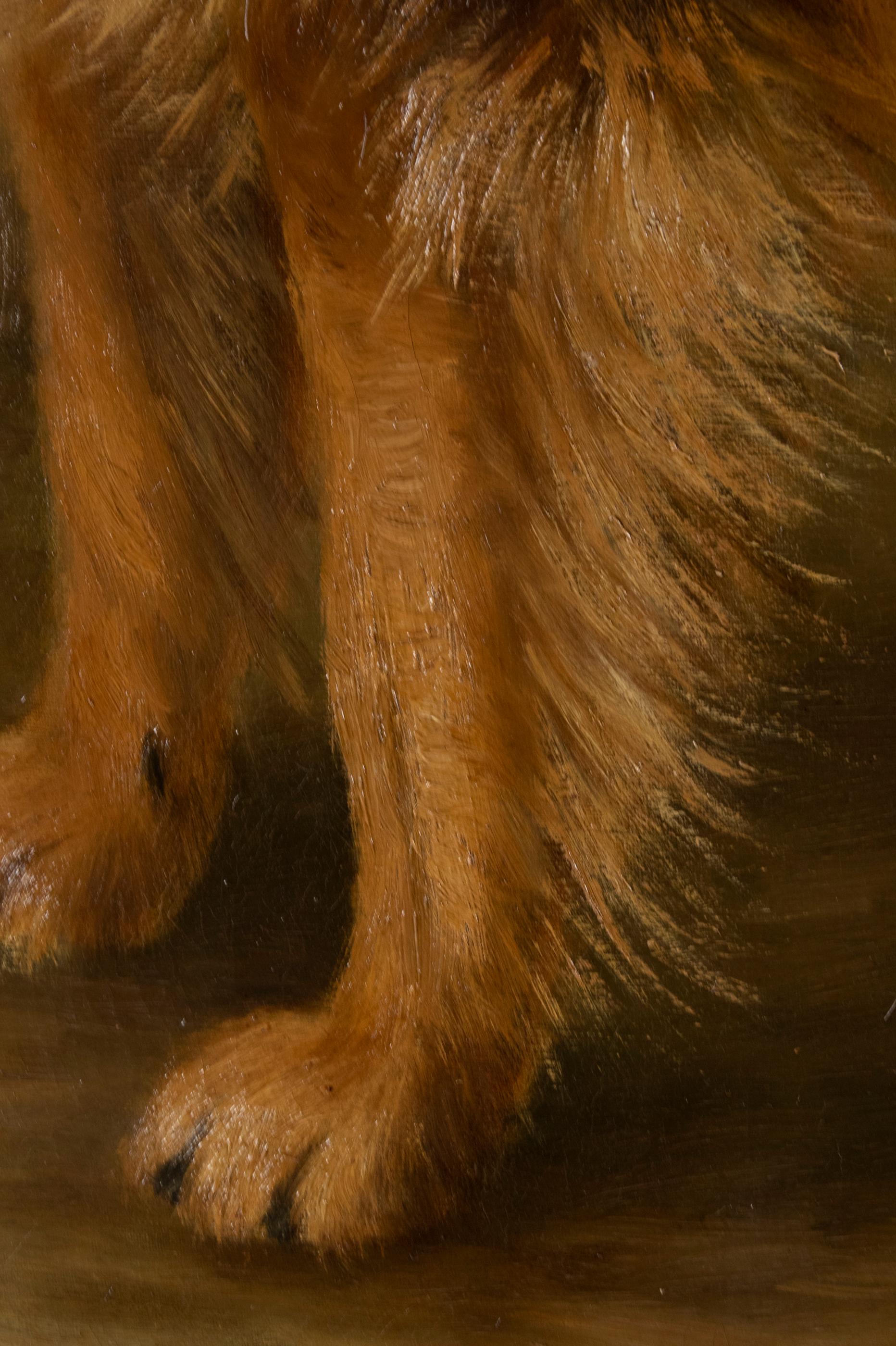 Antique Dog Painting of a Scottish Collie by Zélia Klerx Oil on Canvas 8
