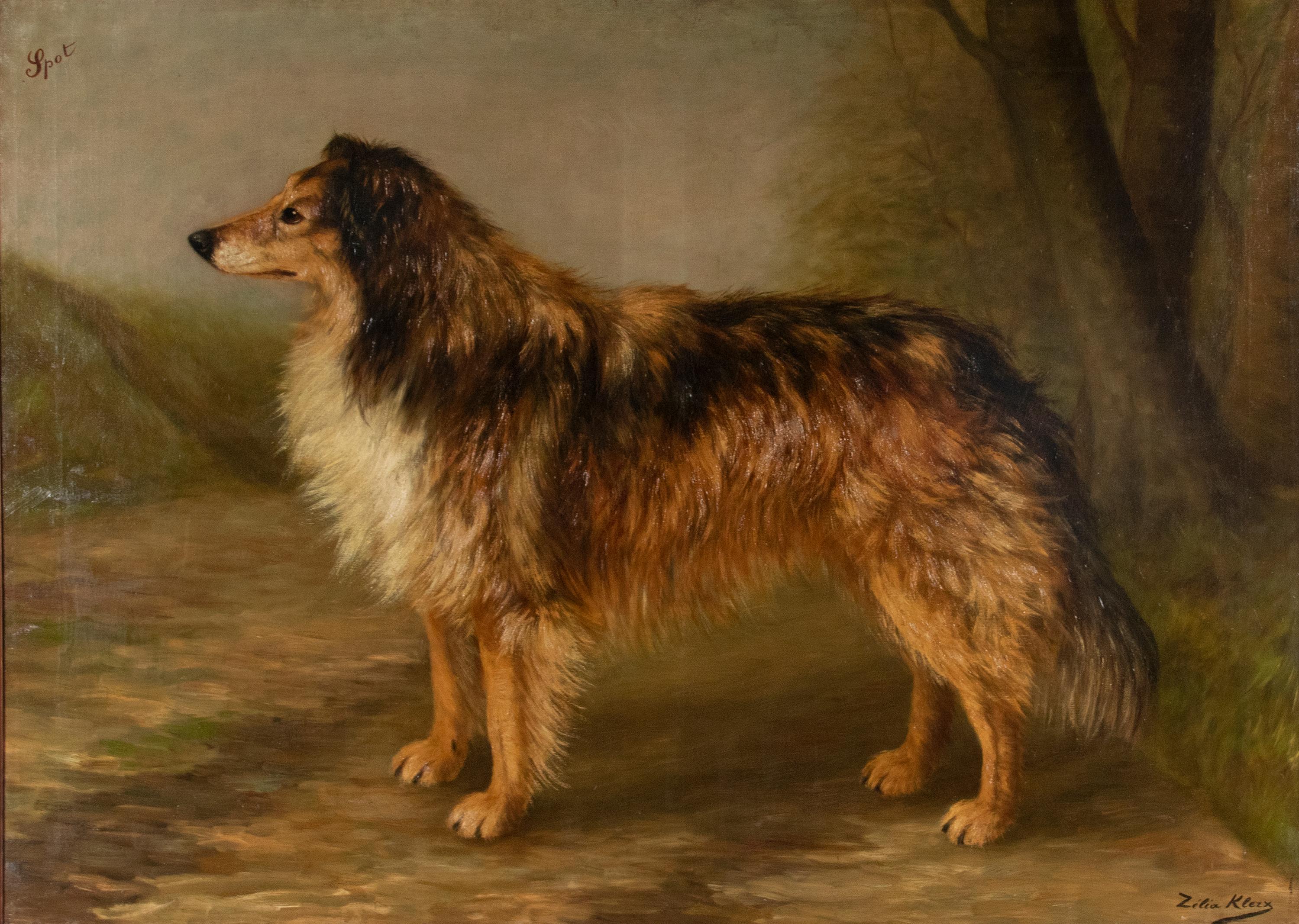 Beautiful antique painting, it is a dog portrait of a Scottish Collie. It is a large and impressive painting. The painting is very nicely painted, the dog's fur, the colors and the dog's posture look lifelike. The painting is signed Zélia Klerx, she