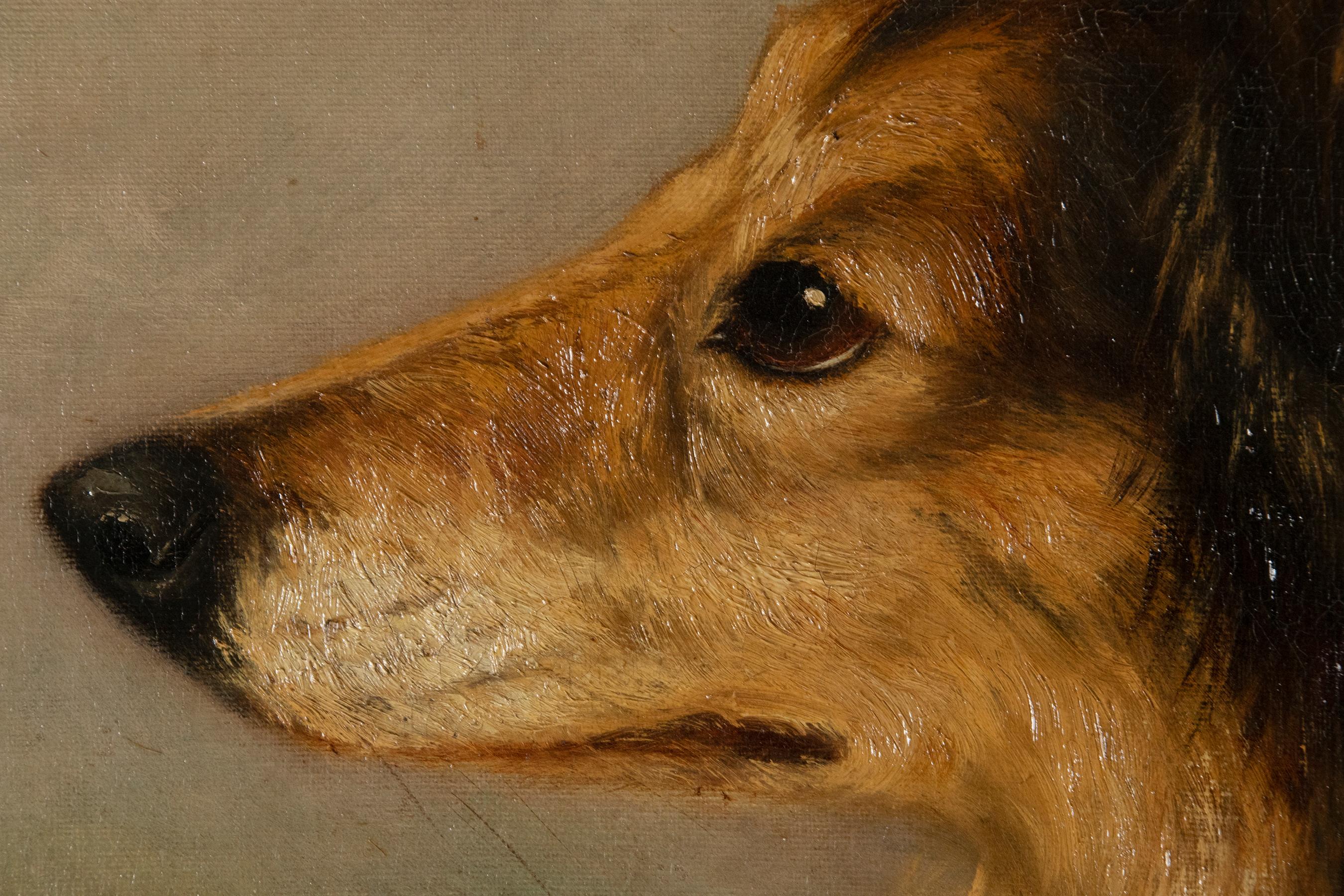 Belgian Antique Dog Painting of a Scottish Collie by Zélia Klerx Oil on Canvas